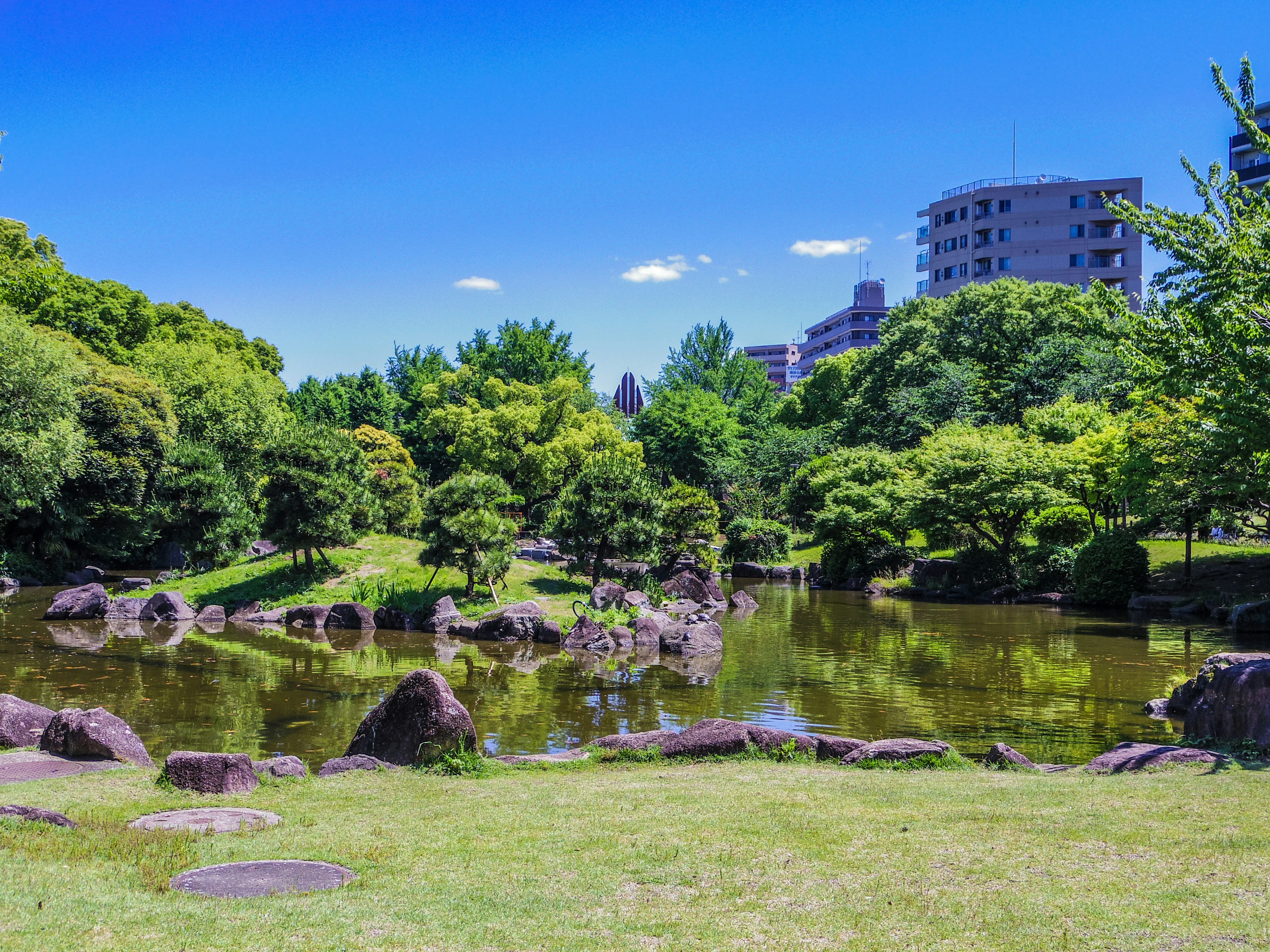 郁郁蔥蔥的公園景色 水面上倒映著樹木和建築 藍天與雲朵