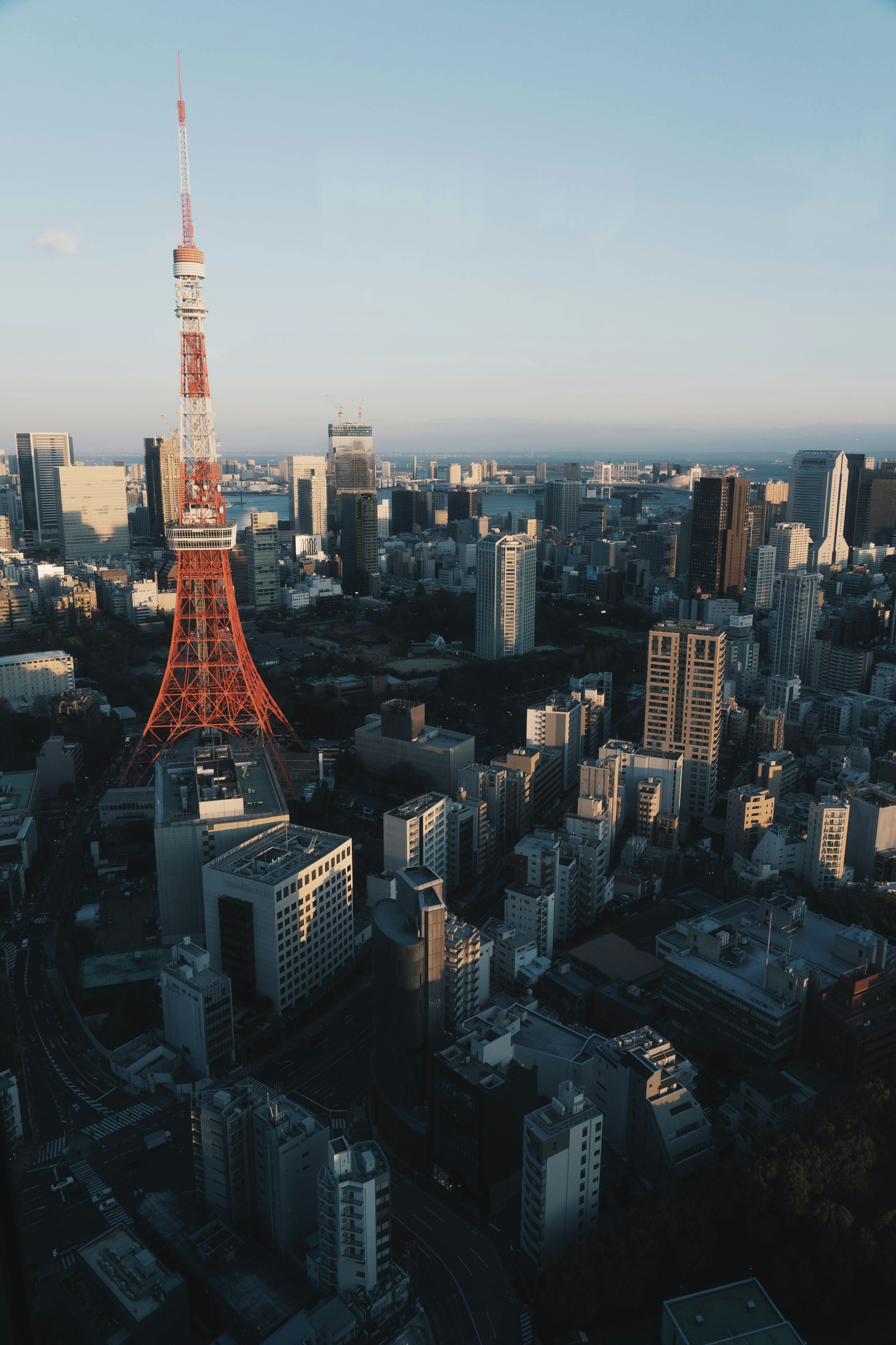 Panoramic view of Tokyo Tower and cityscape under blue sky