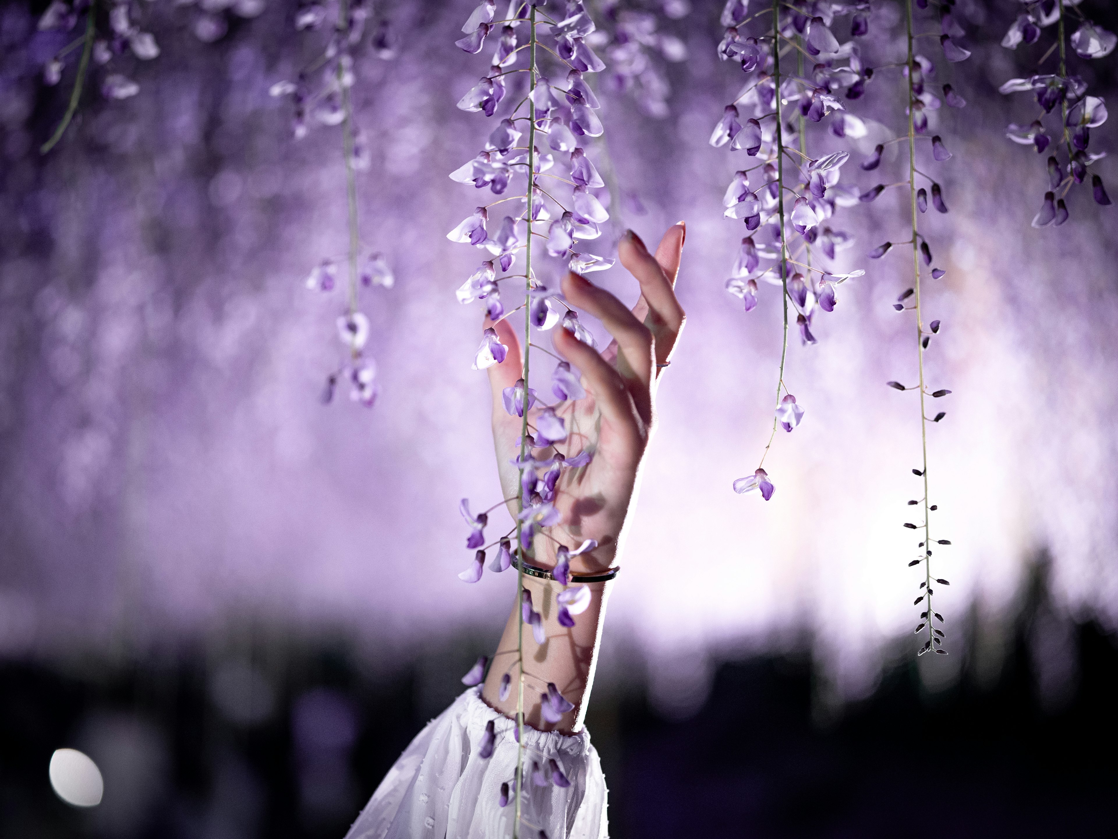 A hand reaching out among cascading purple flowers