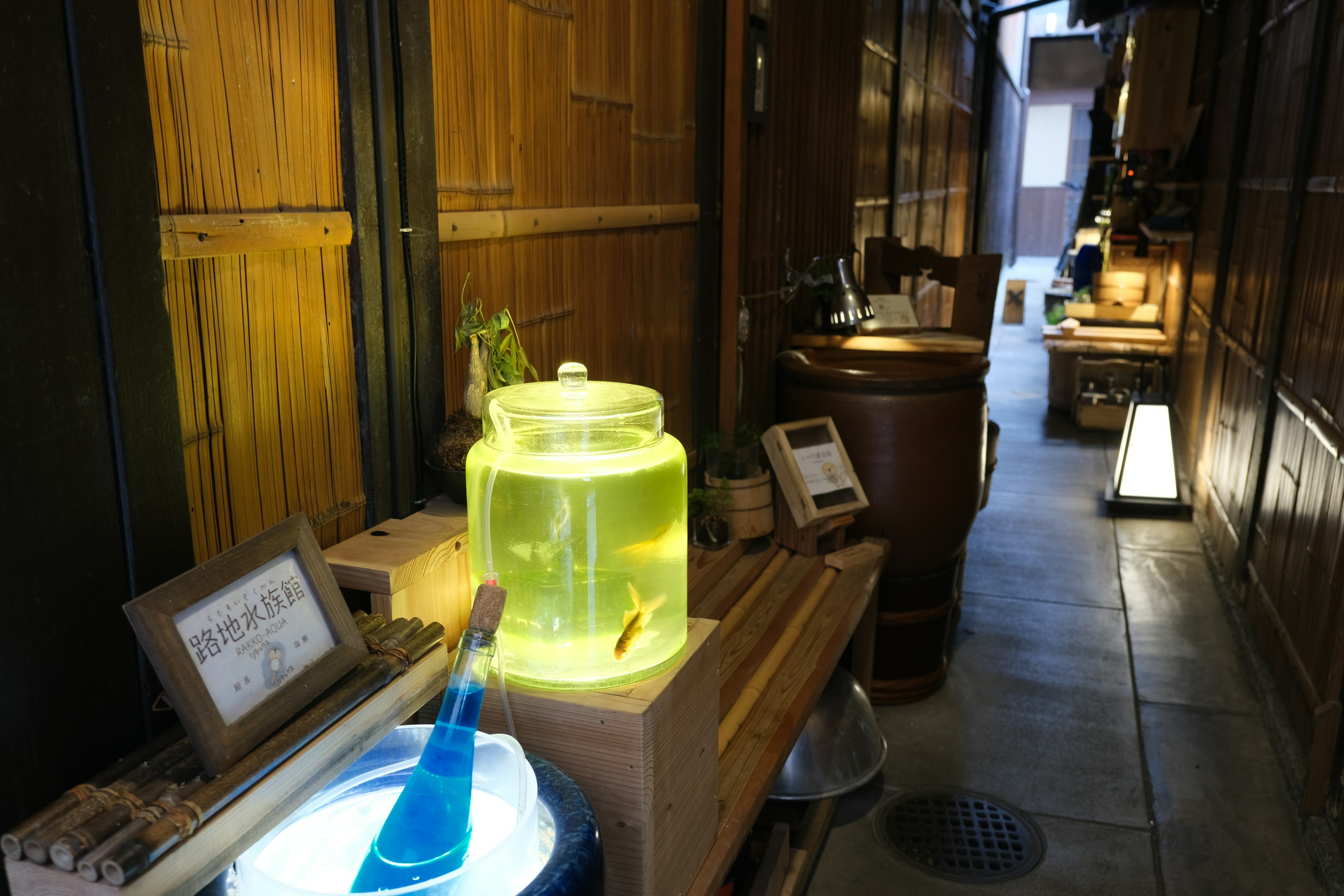 Couloir étroit avec des murs en bambou présentant un aquarium et des étagères en bois éclairées par une lumière chaude