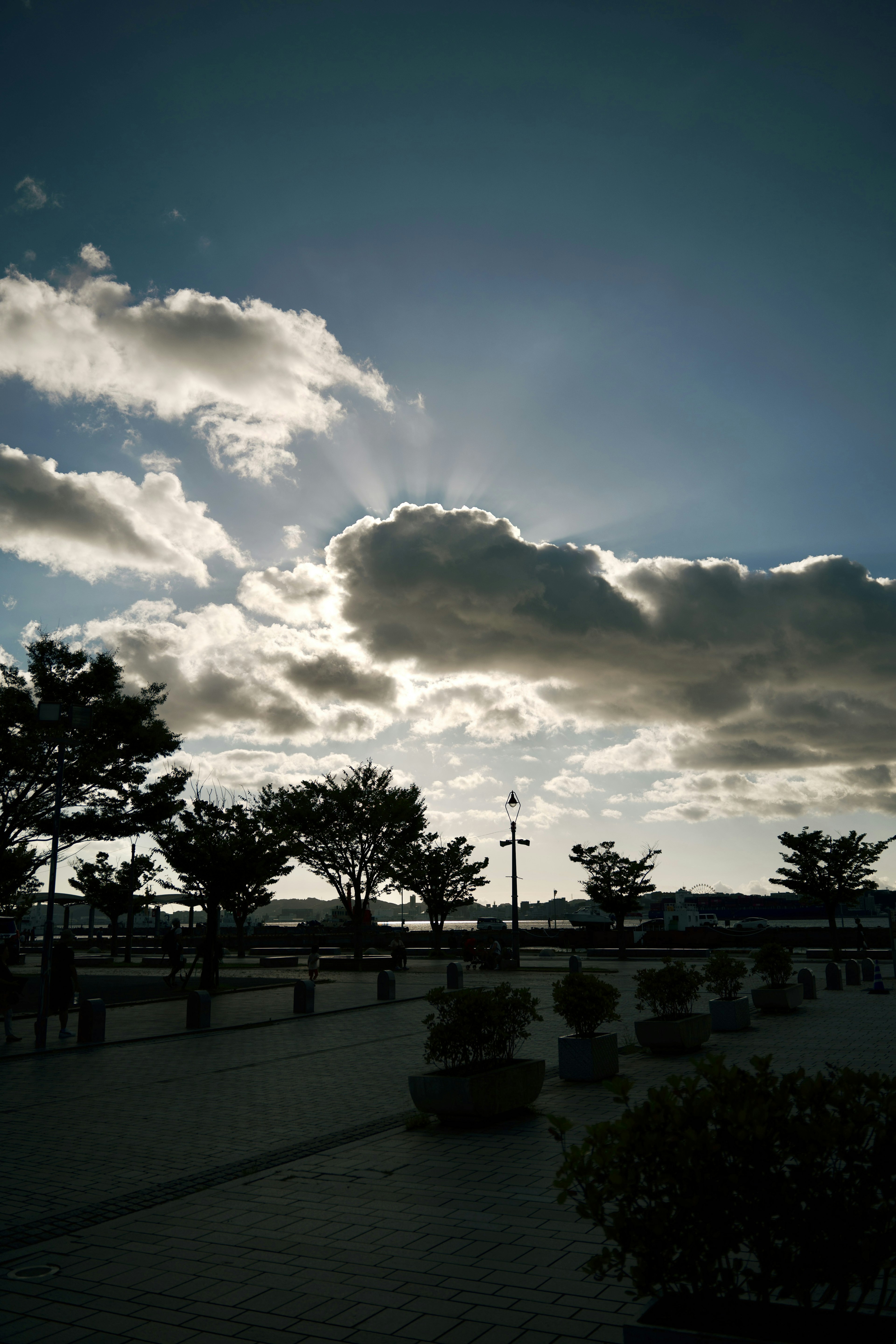 Landscape featuring silhouetted trees with sunlight streaming through clouds