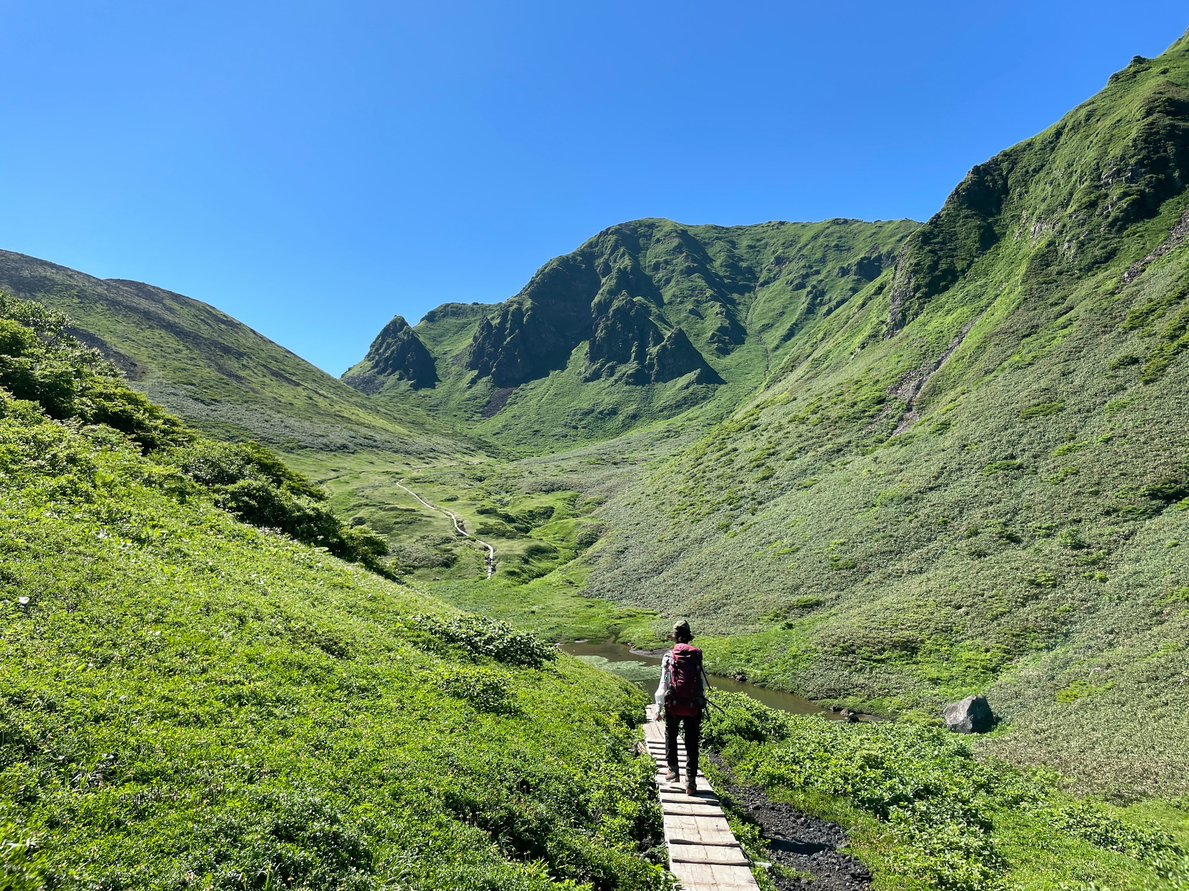 緑の草原と山々を背景にした歩道を歩く人