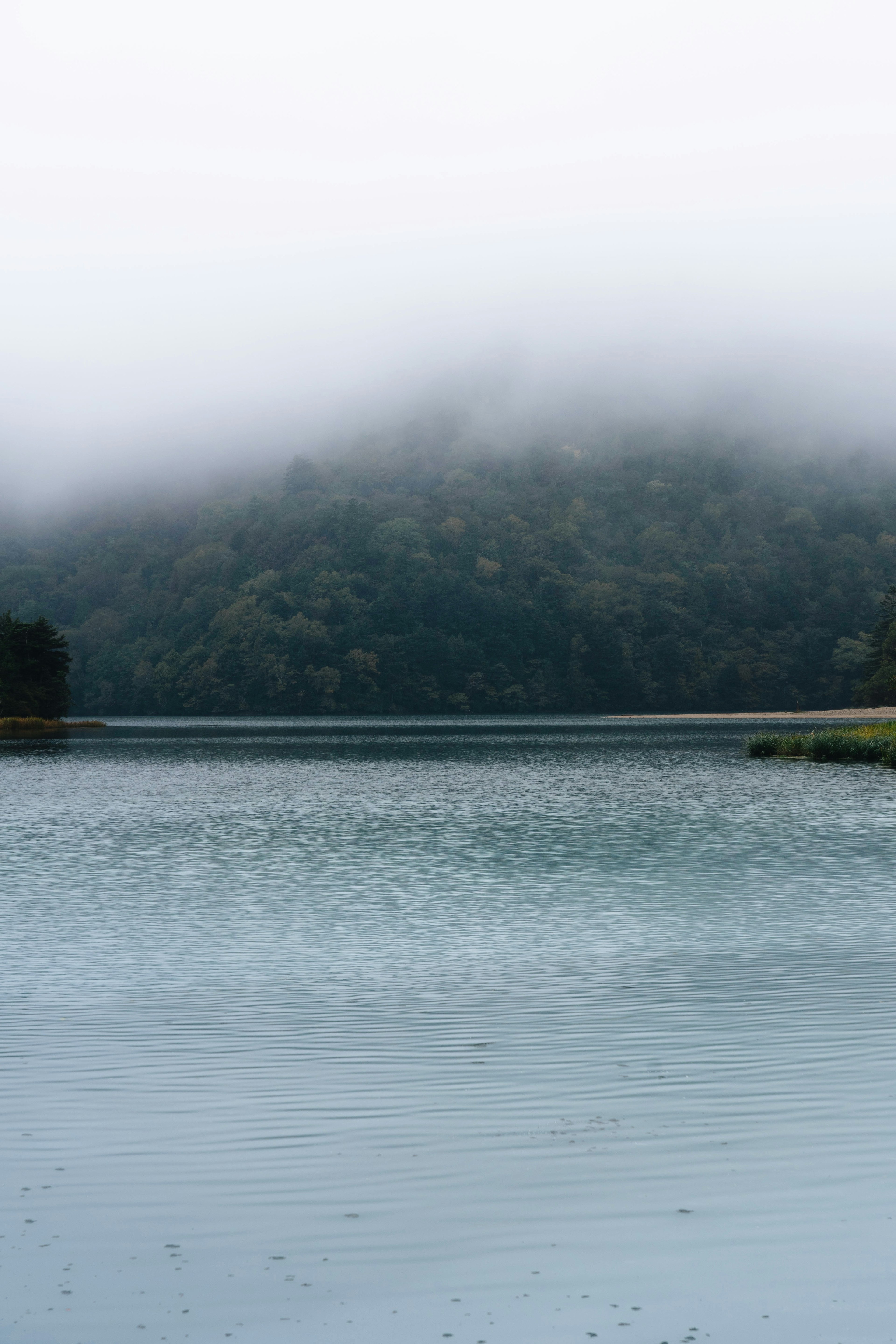 霧に包まれた湖と山の風景