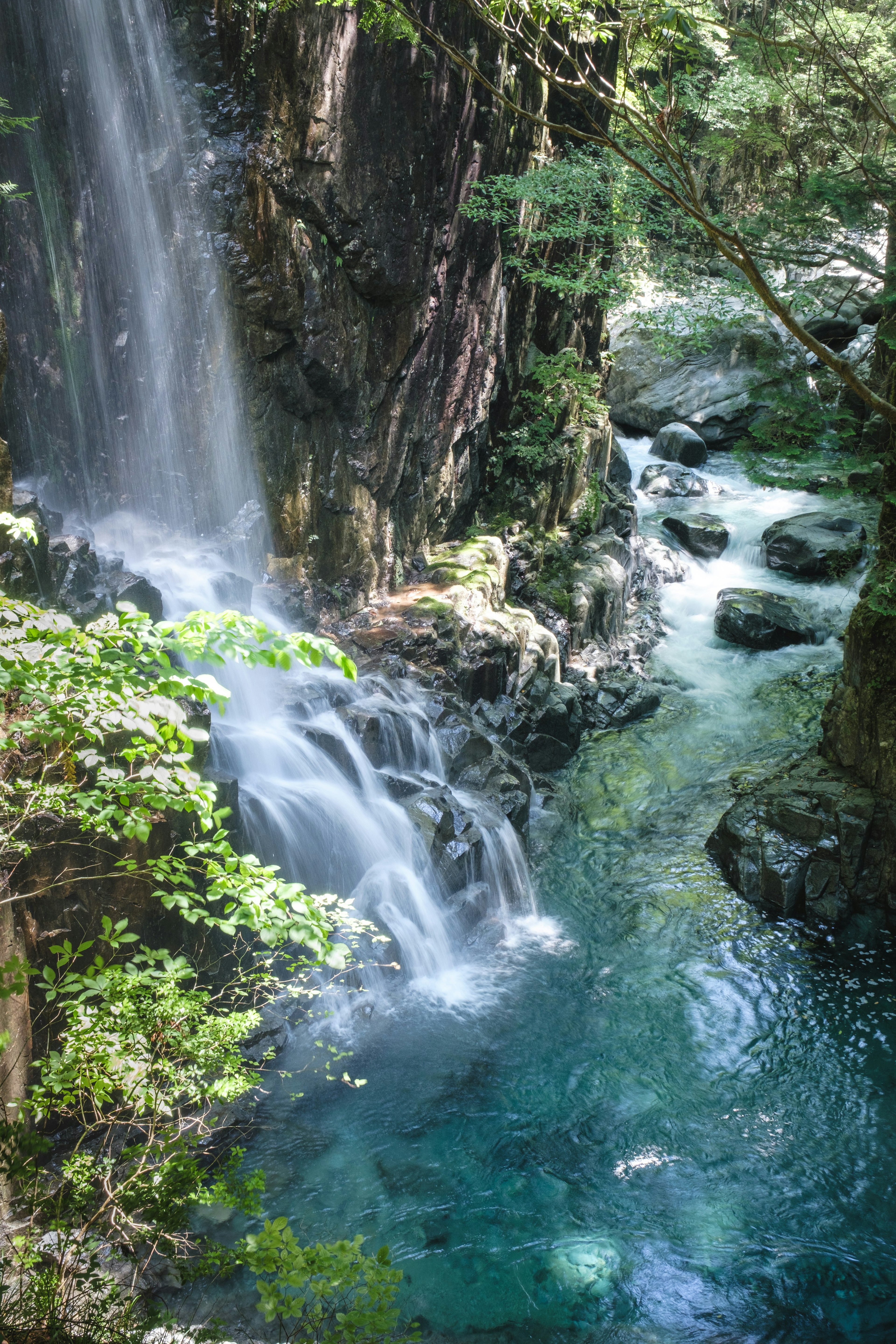 青い水と緑の木々に囲まれた滝の美しい風景