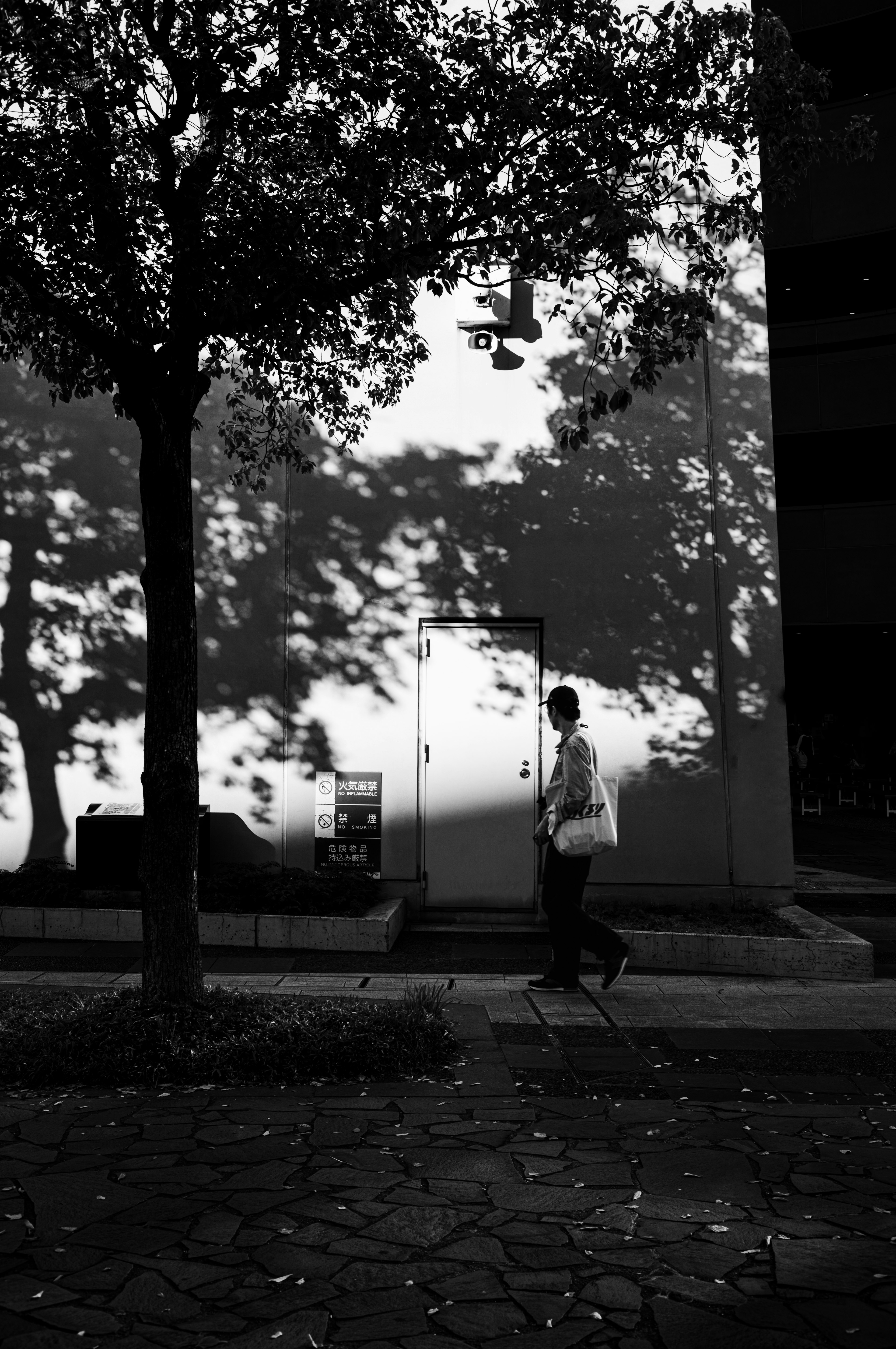 Una persona caminando por la calle con sombras de árboles proyectadas en una pared en una foto en blanco y negro