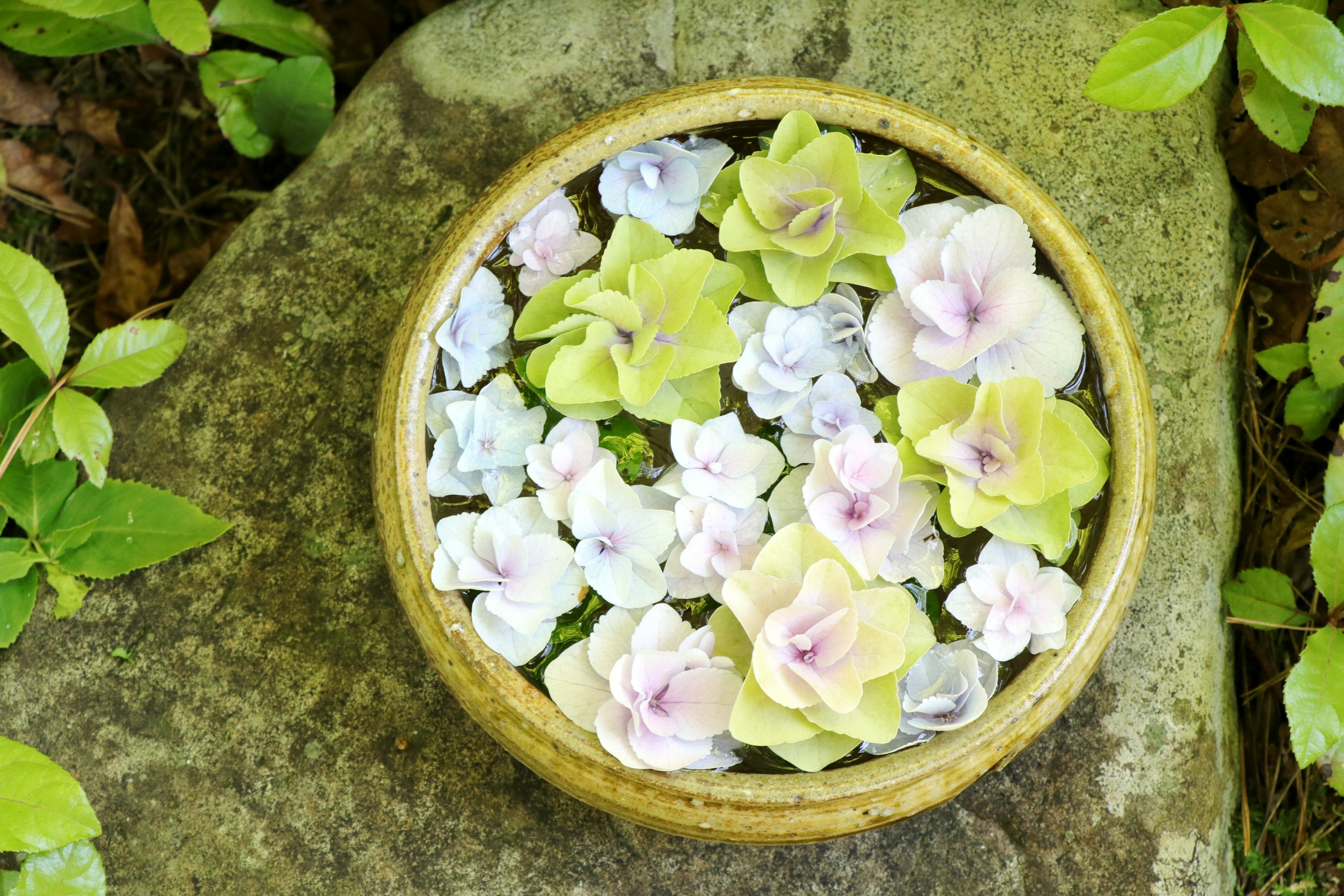 Un tazón lleno de flores en tonos pastel flotantes en verde y blanco