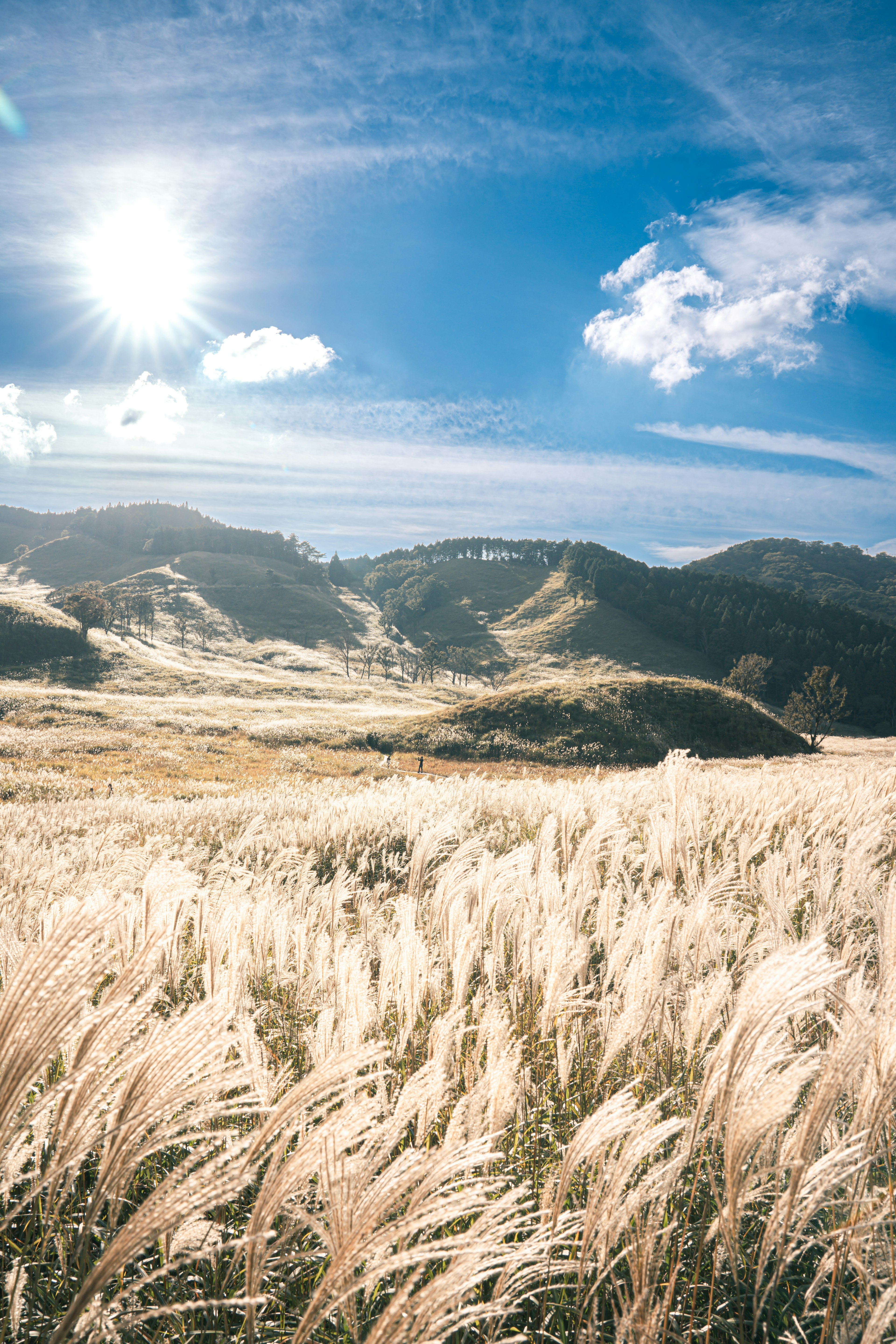 Weite Graslandschaft unter einem strahlend blauen Himmel und Sonne