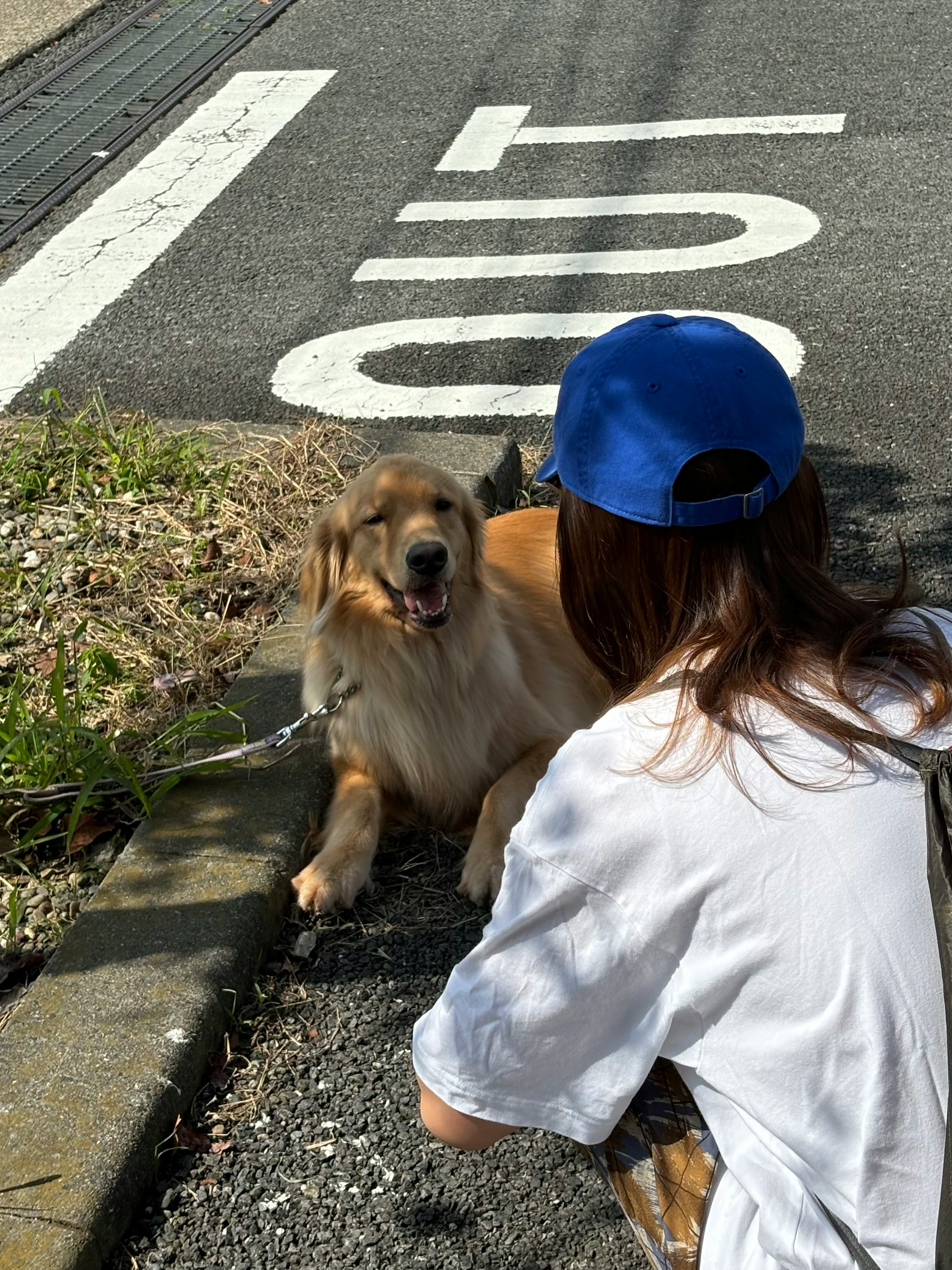 Una mujer interactuando con un perro cerca de una carretera marcada con un letrero 'OUT'