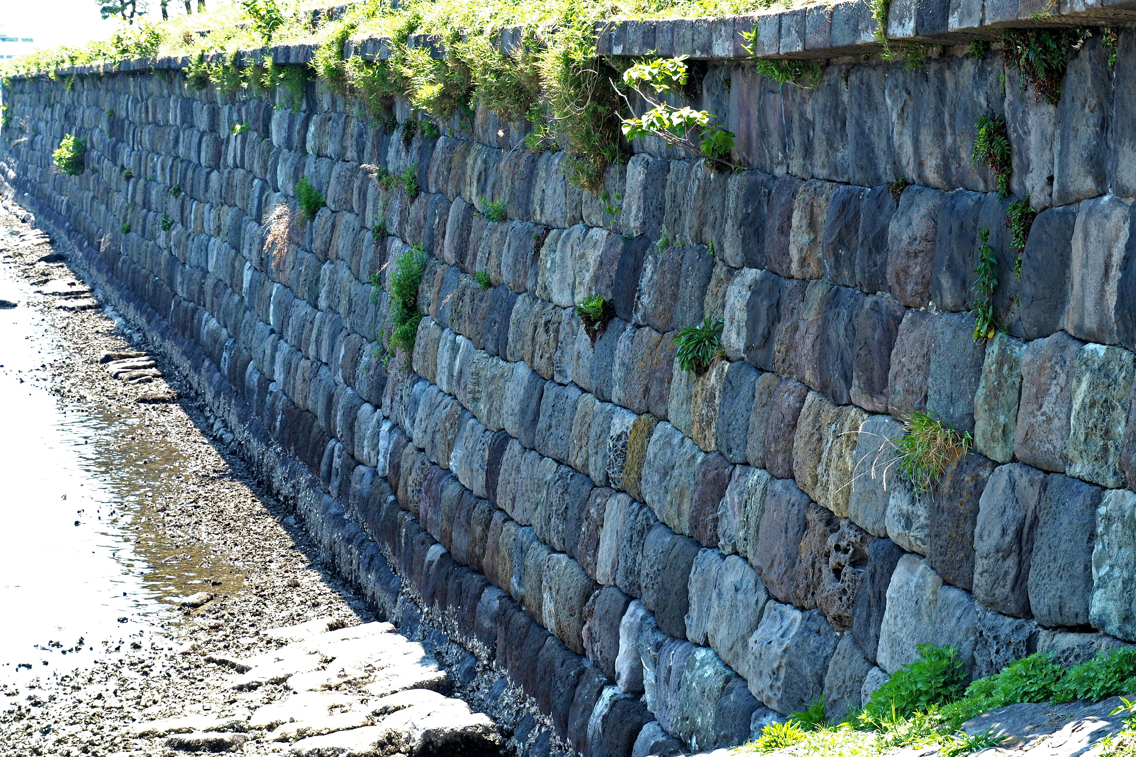 Mur en pierre avec des zones de verdure