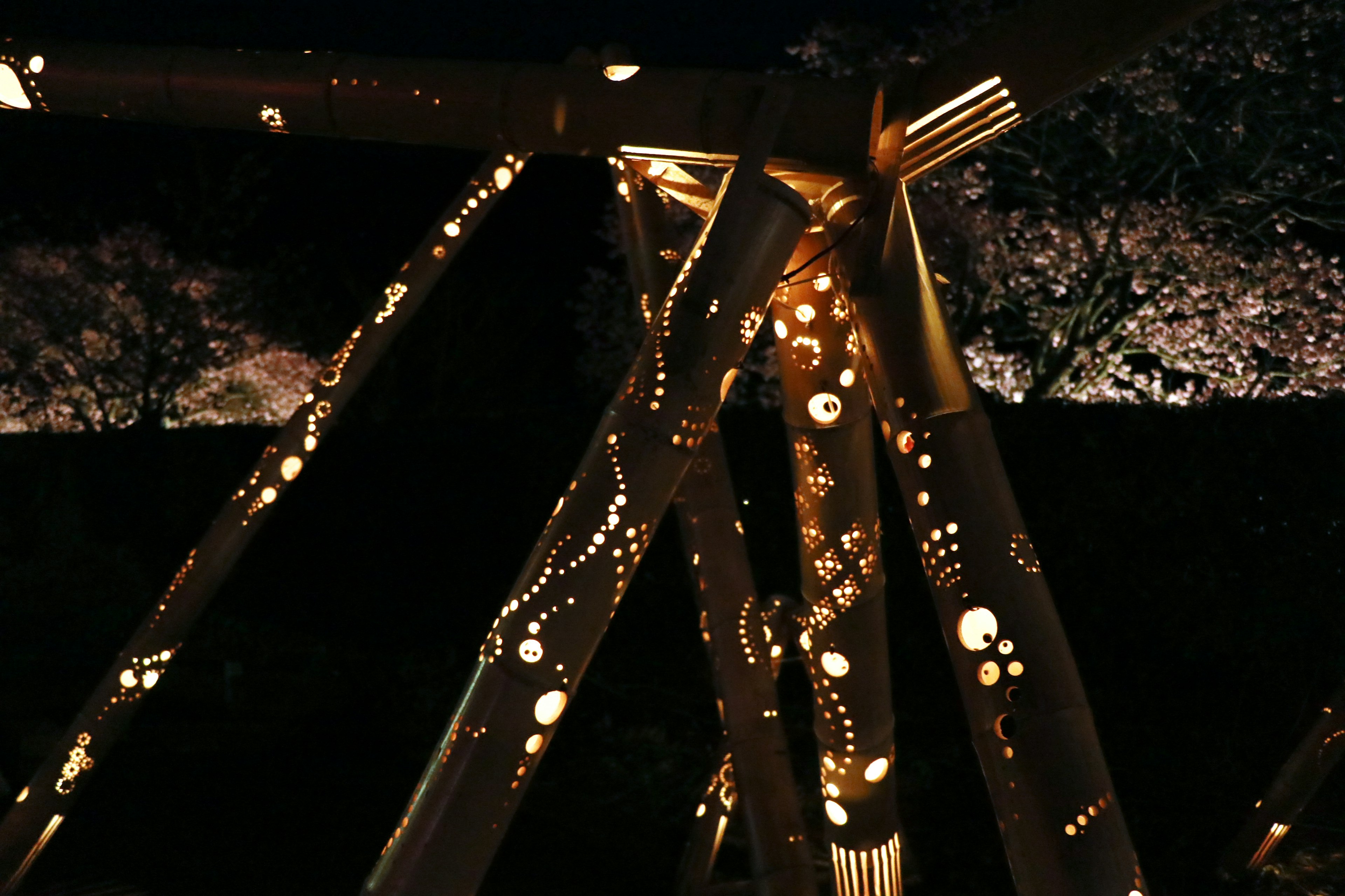 Close-up of a wooden structure adorned with lights at night