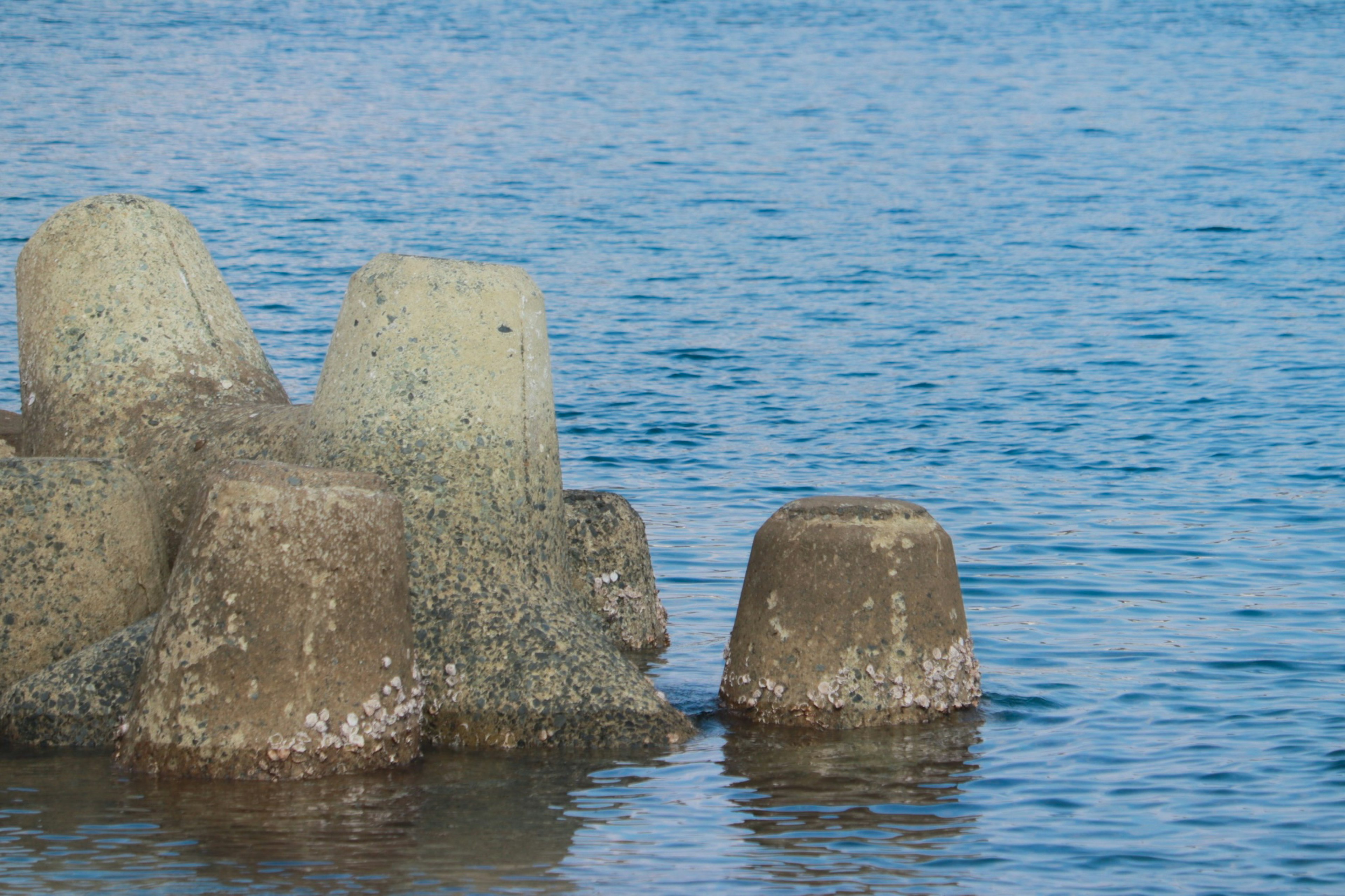 Concrete blocks partially submerged in calm water