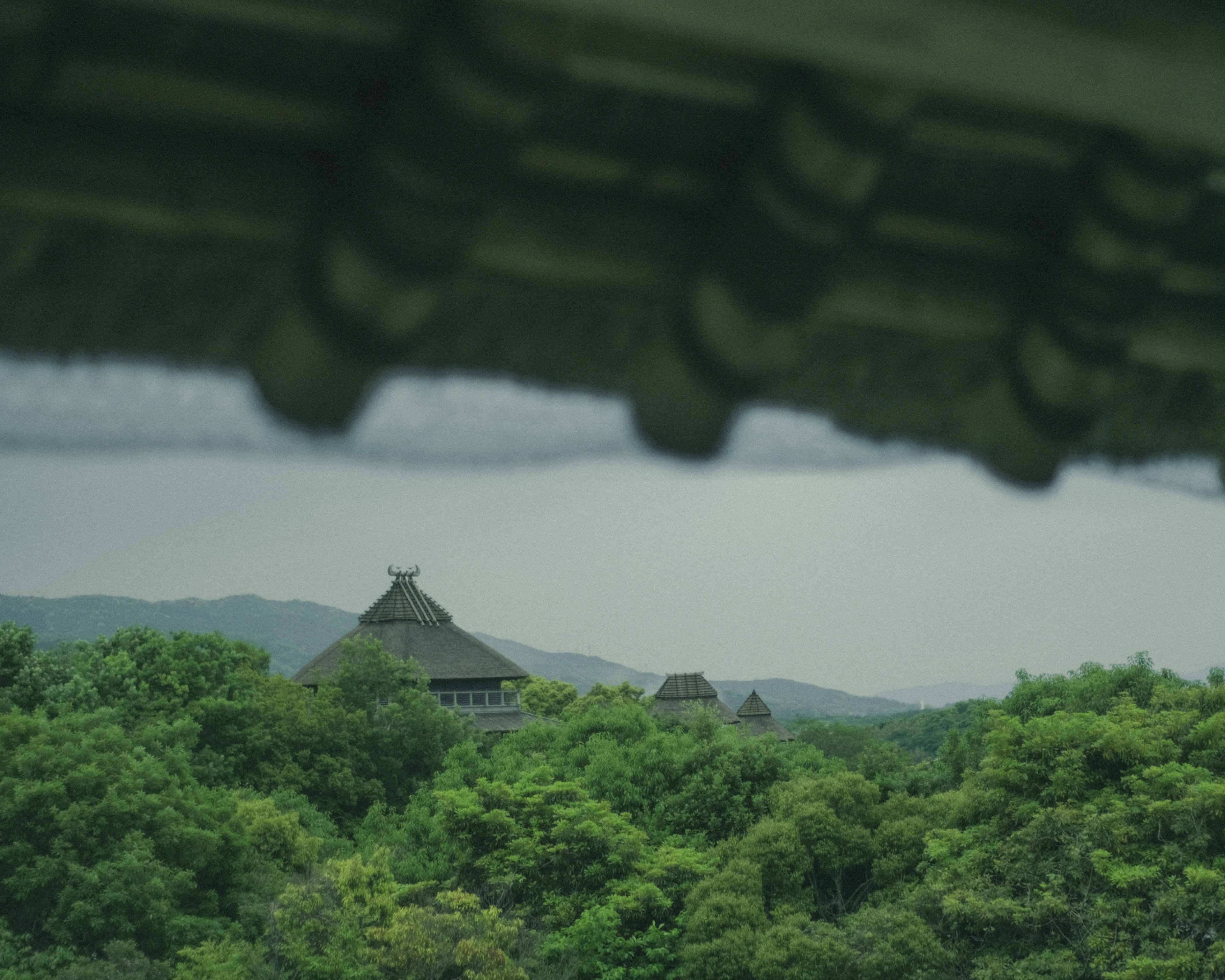 Traditional building roof in a lush green landscape