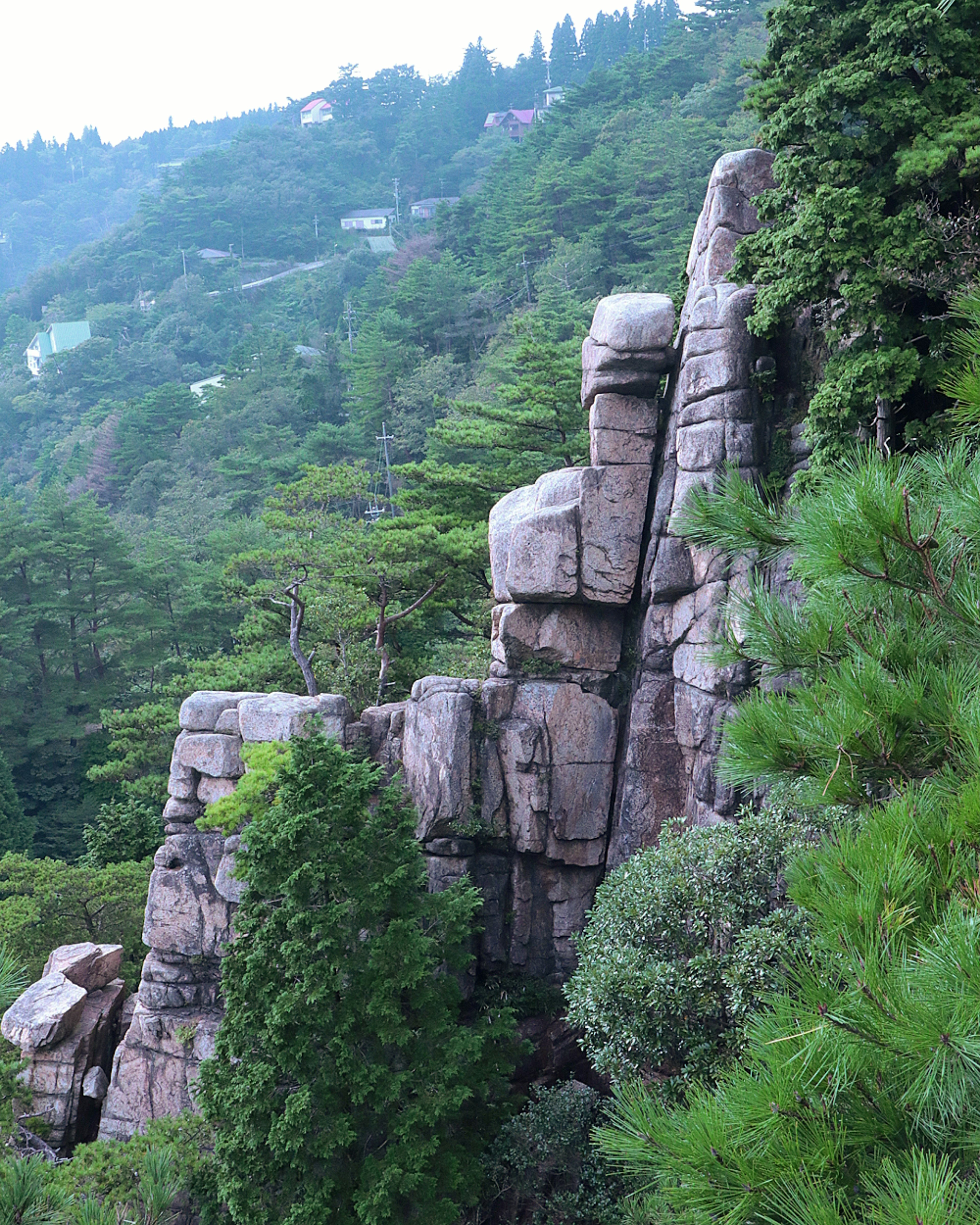 A large rock formation amidst lush greenery and trees