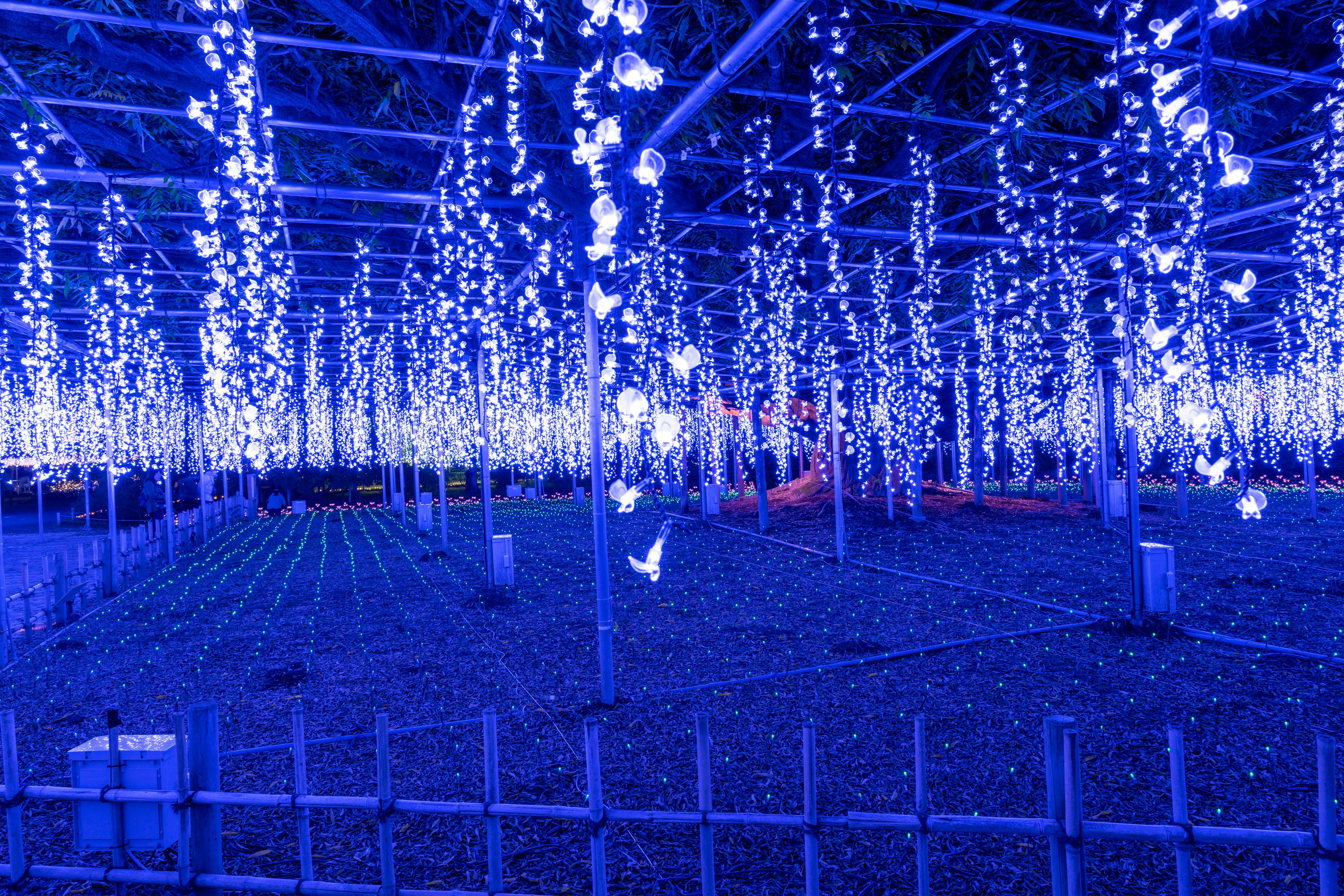 Une exposition fascinante de lumières décoratives suspendues dans des teintes bleues