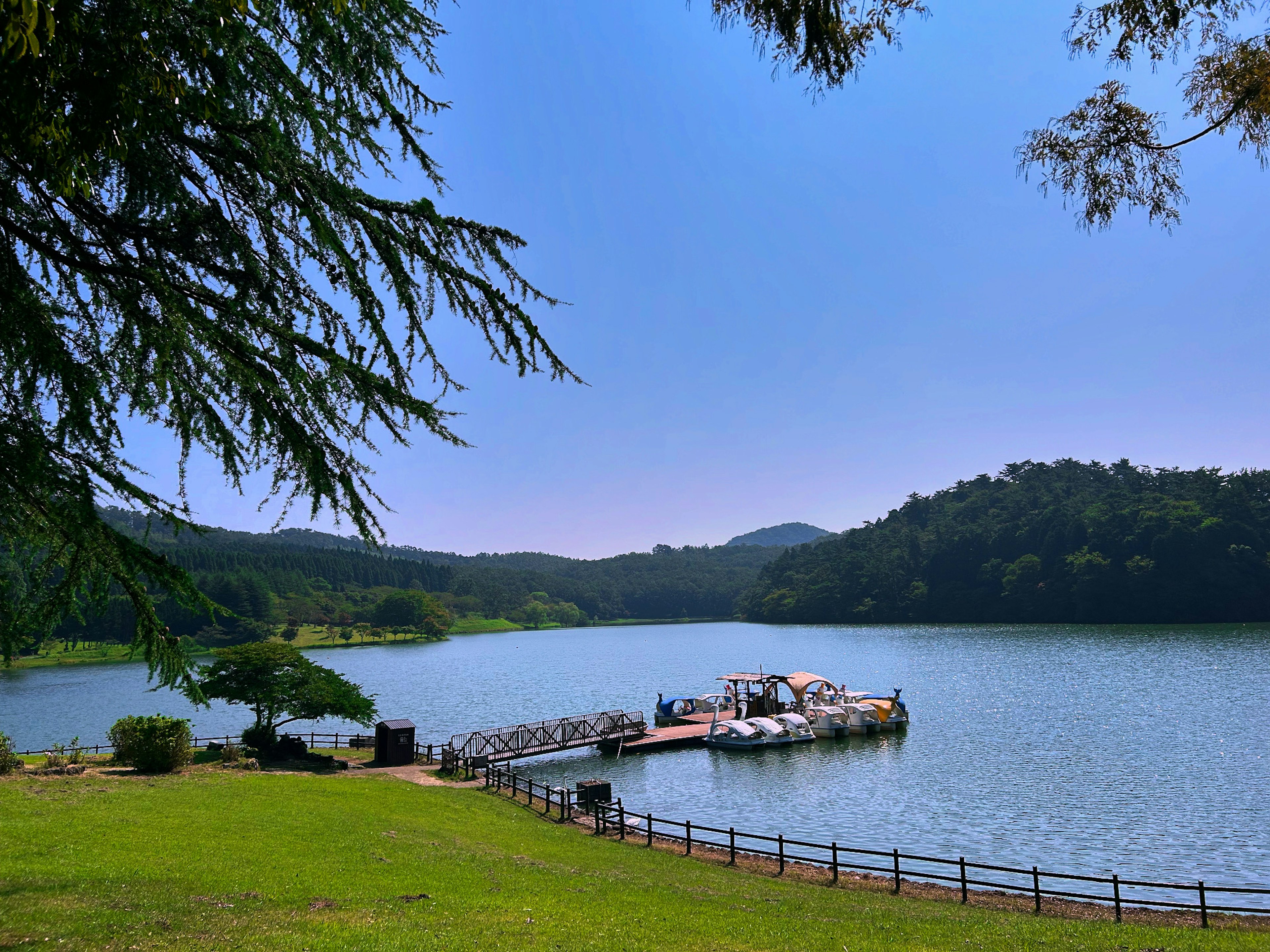 ทิวทัศน์ที่สวยงามของทะเลสาบสงบพร้อมท่าเรือเล็กและต้นไม้รอบๆ