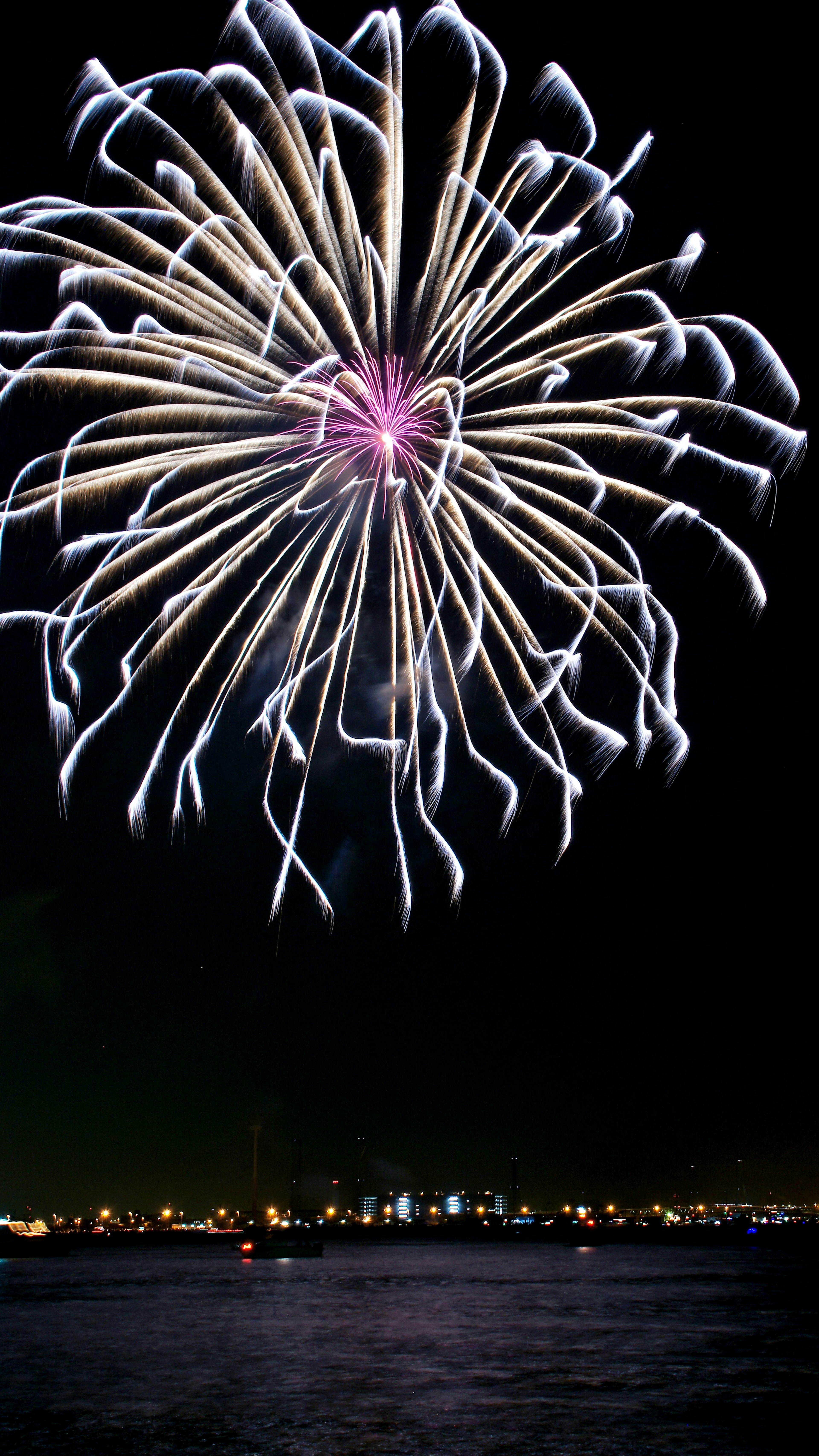 Espectáculo de fuegos artificiales con pétalos blancos y un centro morado en el cielo nocturno