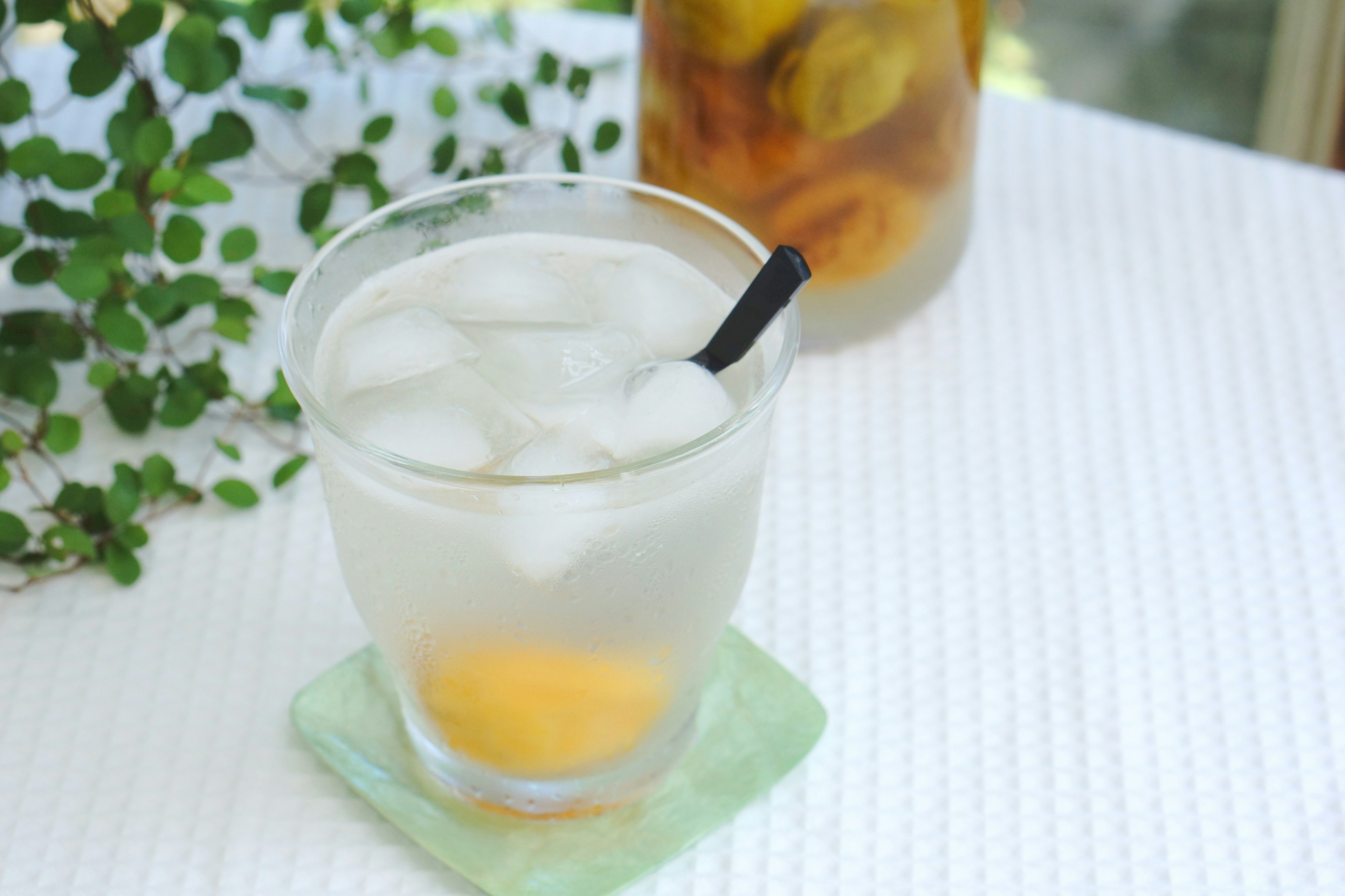 A glass with ice and a transparent drink featuring a black straw in front of a herbal plant