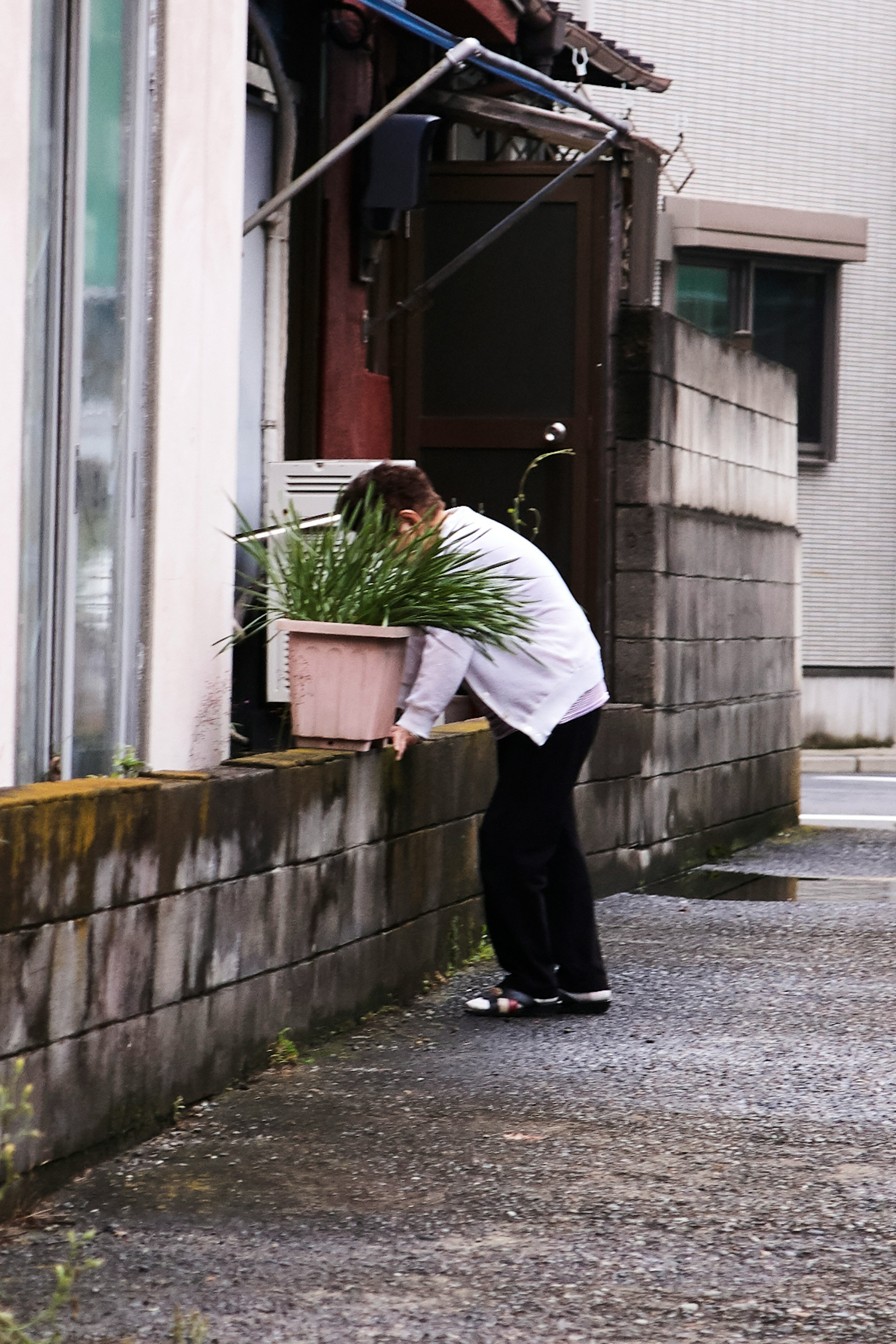 Person lifting a potted plant in a narrow alleyway