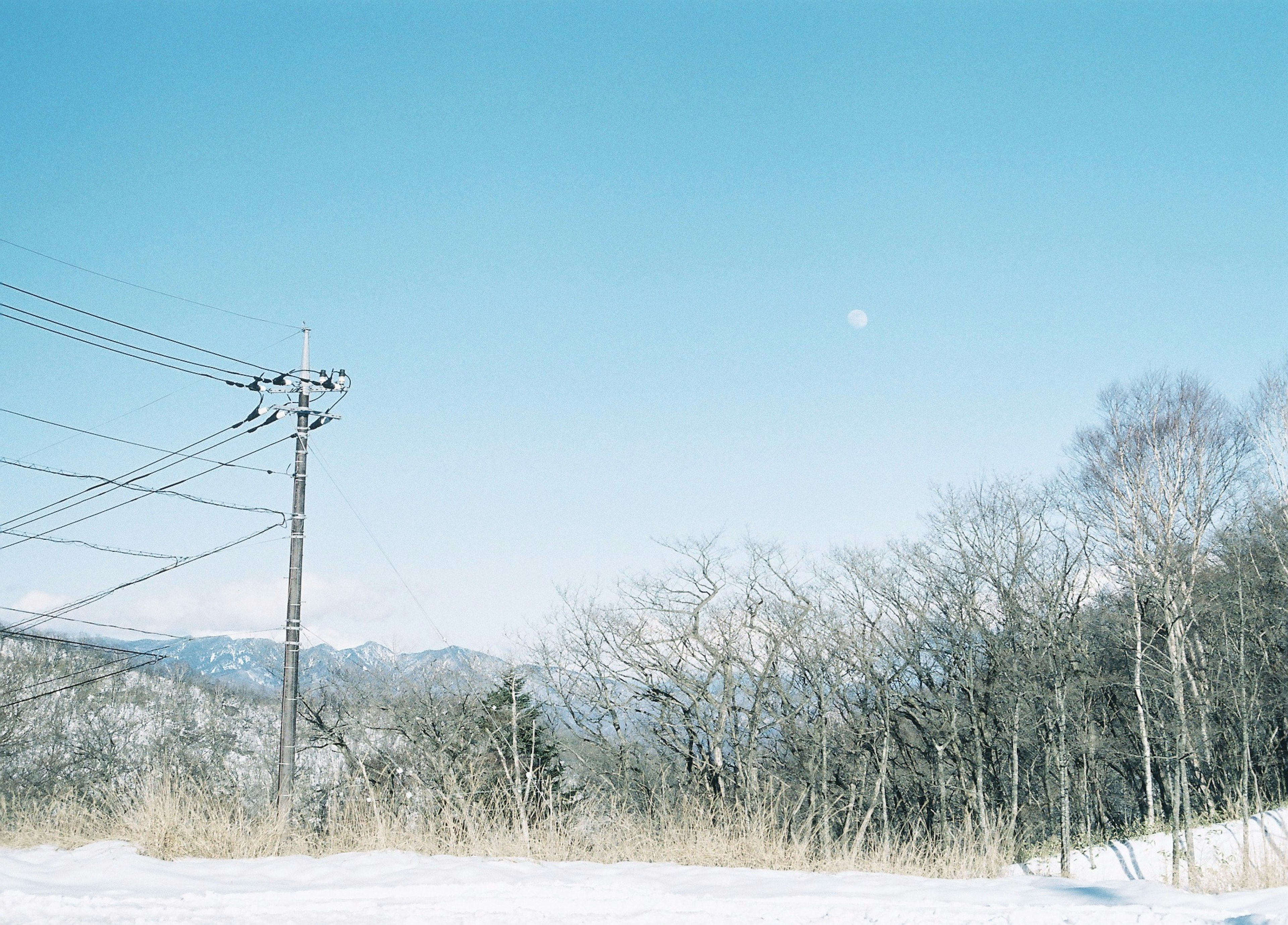 雪に覆われた風景と青空が広がり、電柱と木々が見える