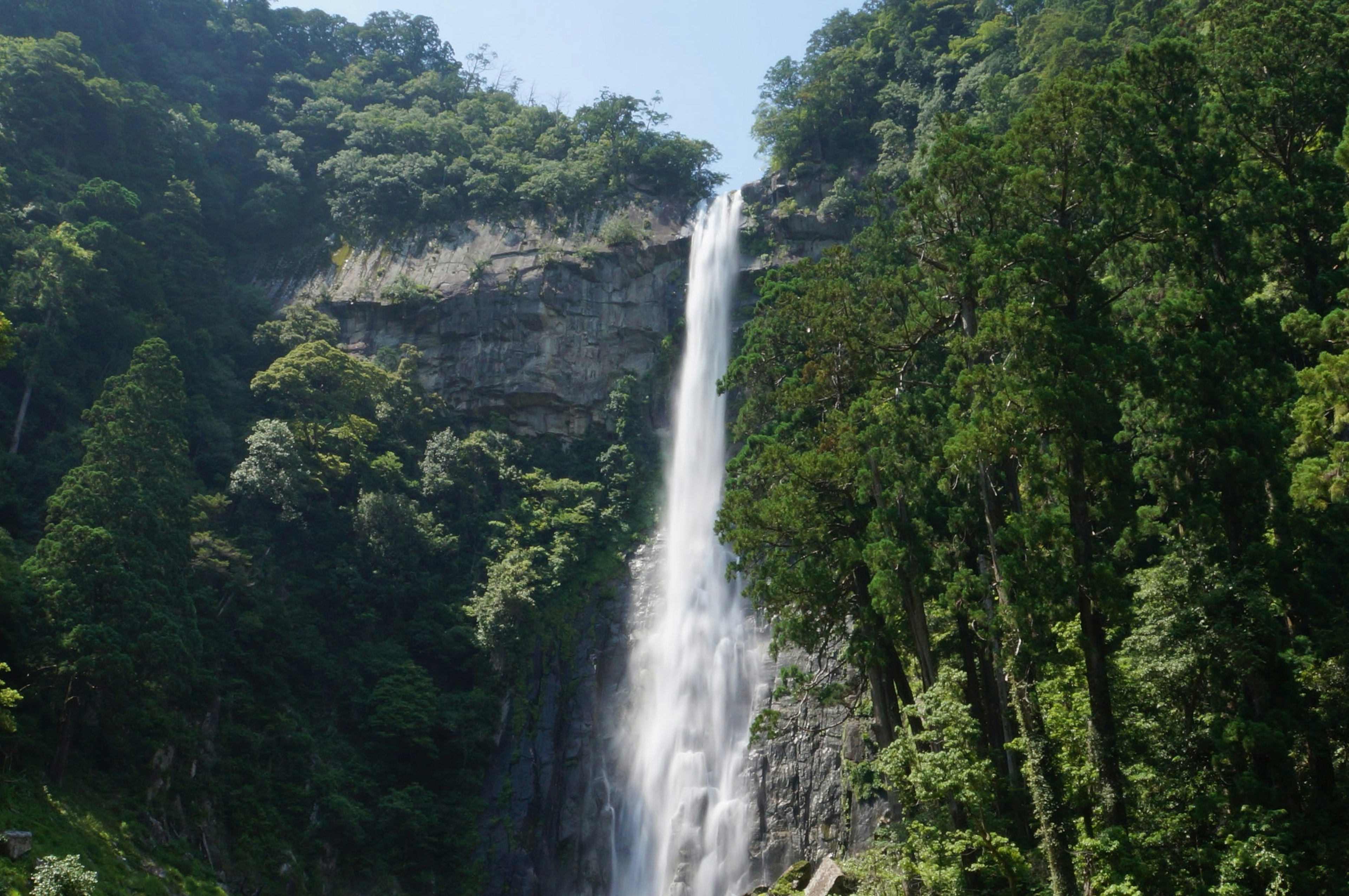 Alto cascada cayendo rodeada de exuberante vegetación