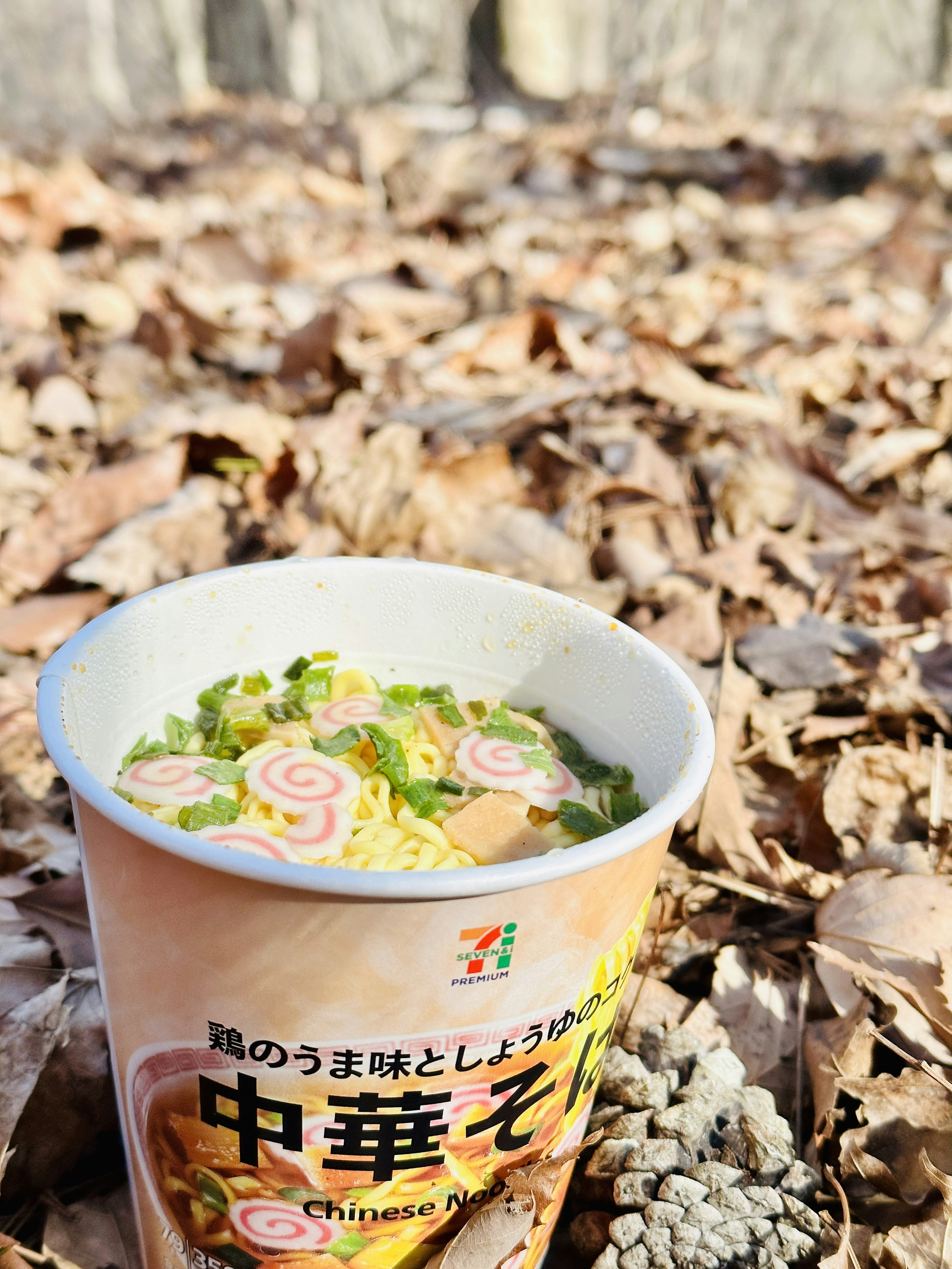 Tassenramen mit rosa Narutomaki und grünen Gemüse auf gefallenen Blättern