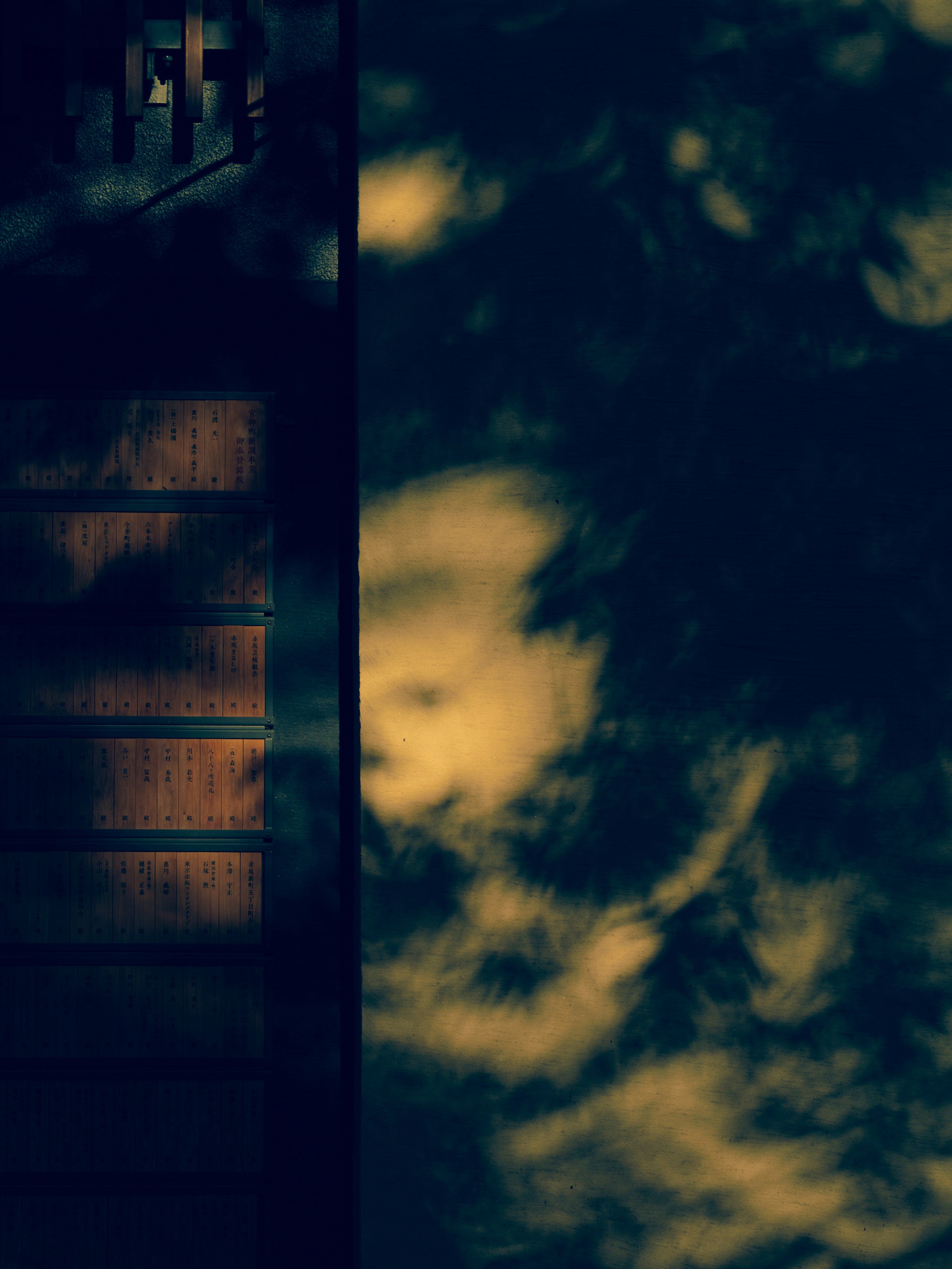 A beautiful contrast of wooden stairs and shadows