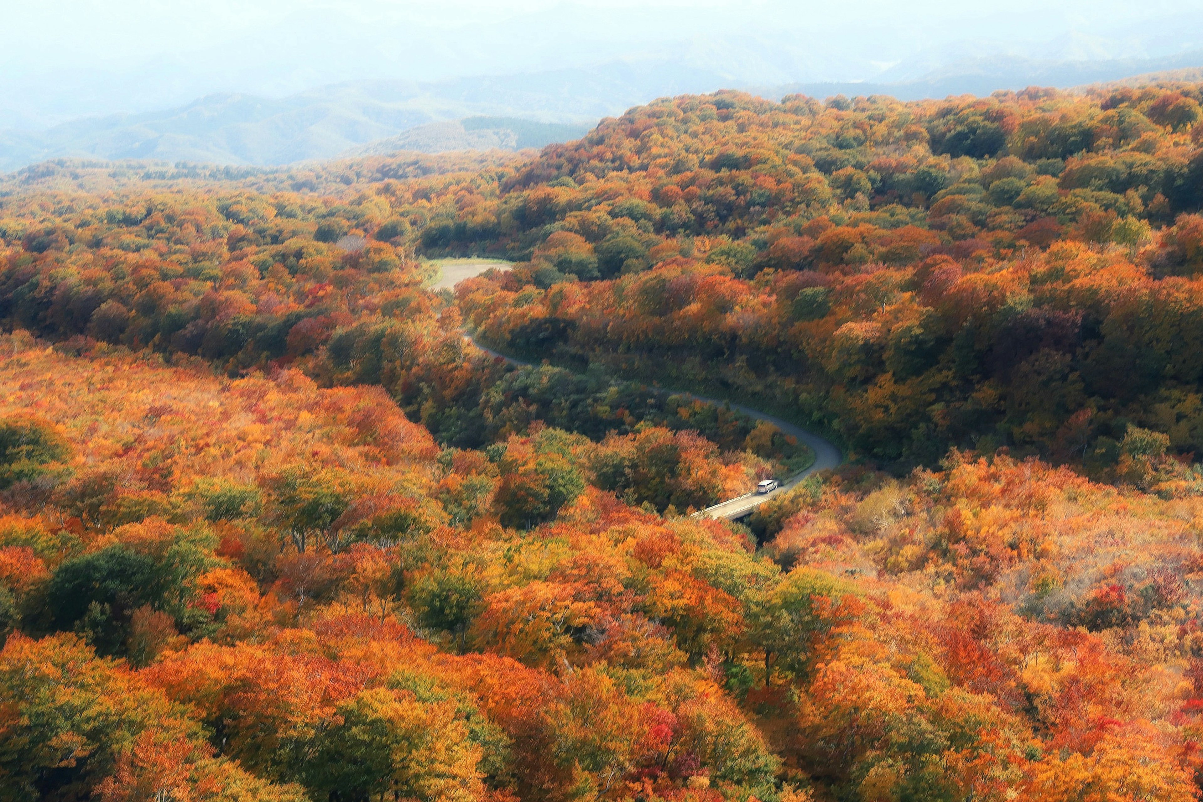 Vibrant autumn landscape with colorful foliage and a winding road