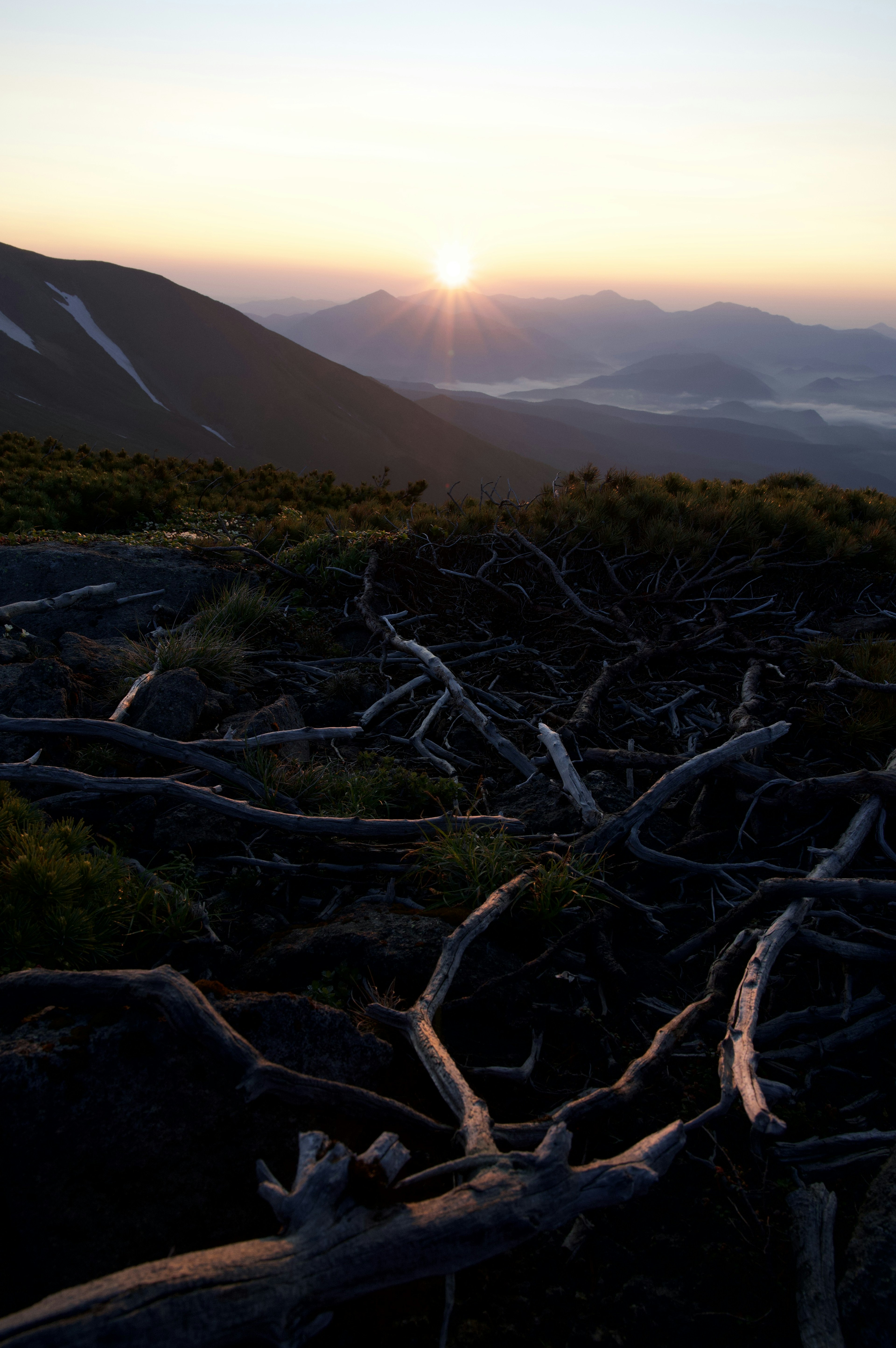 Paysage montagneux avec des racines entrelacées et un lever de soleil