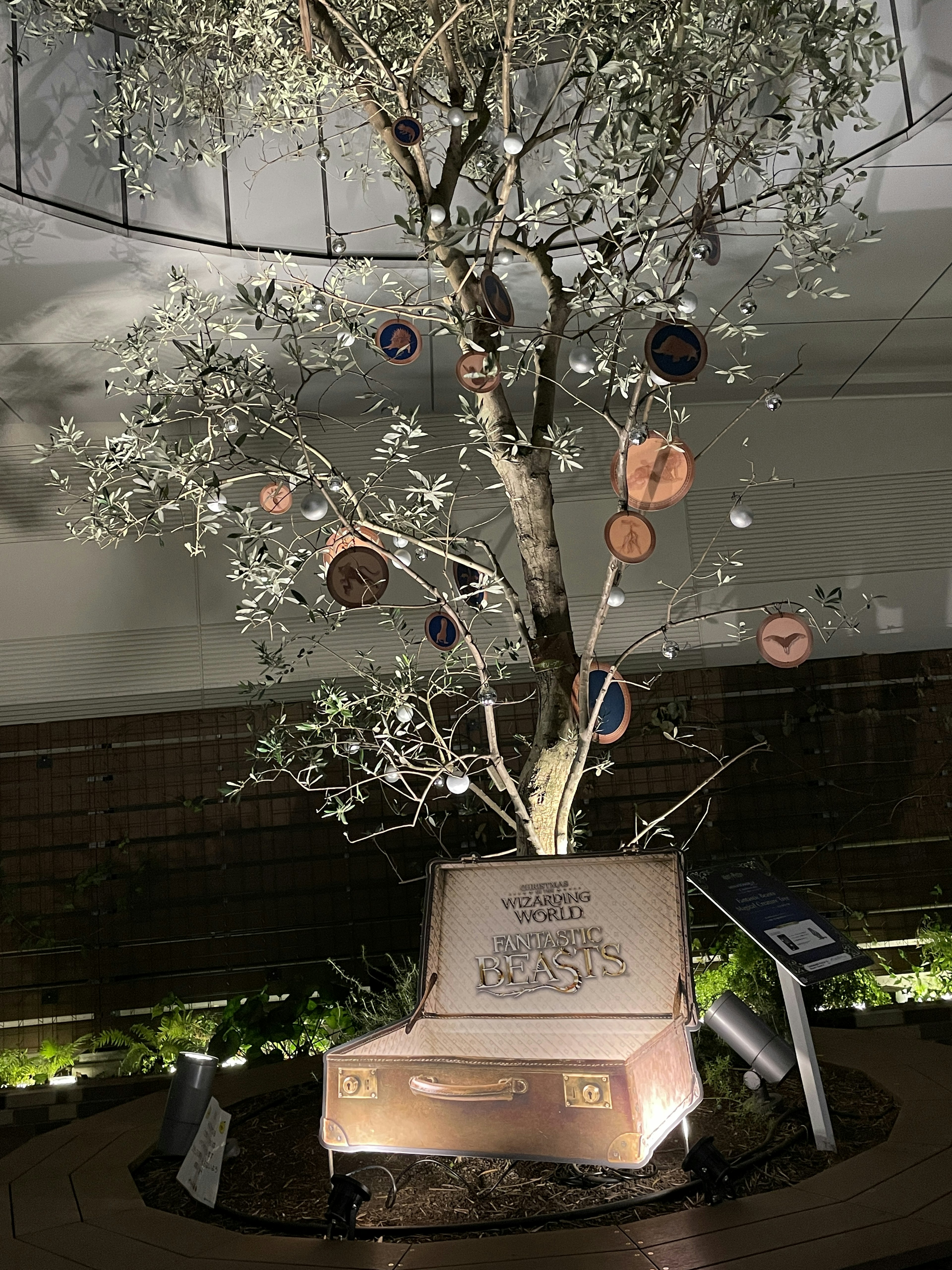 Installazione artistica con un albero d'olivo decorato con ornamenti e una valigia