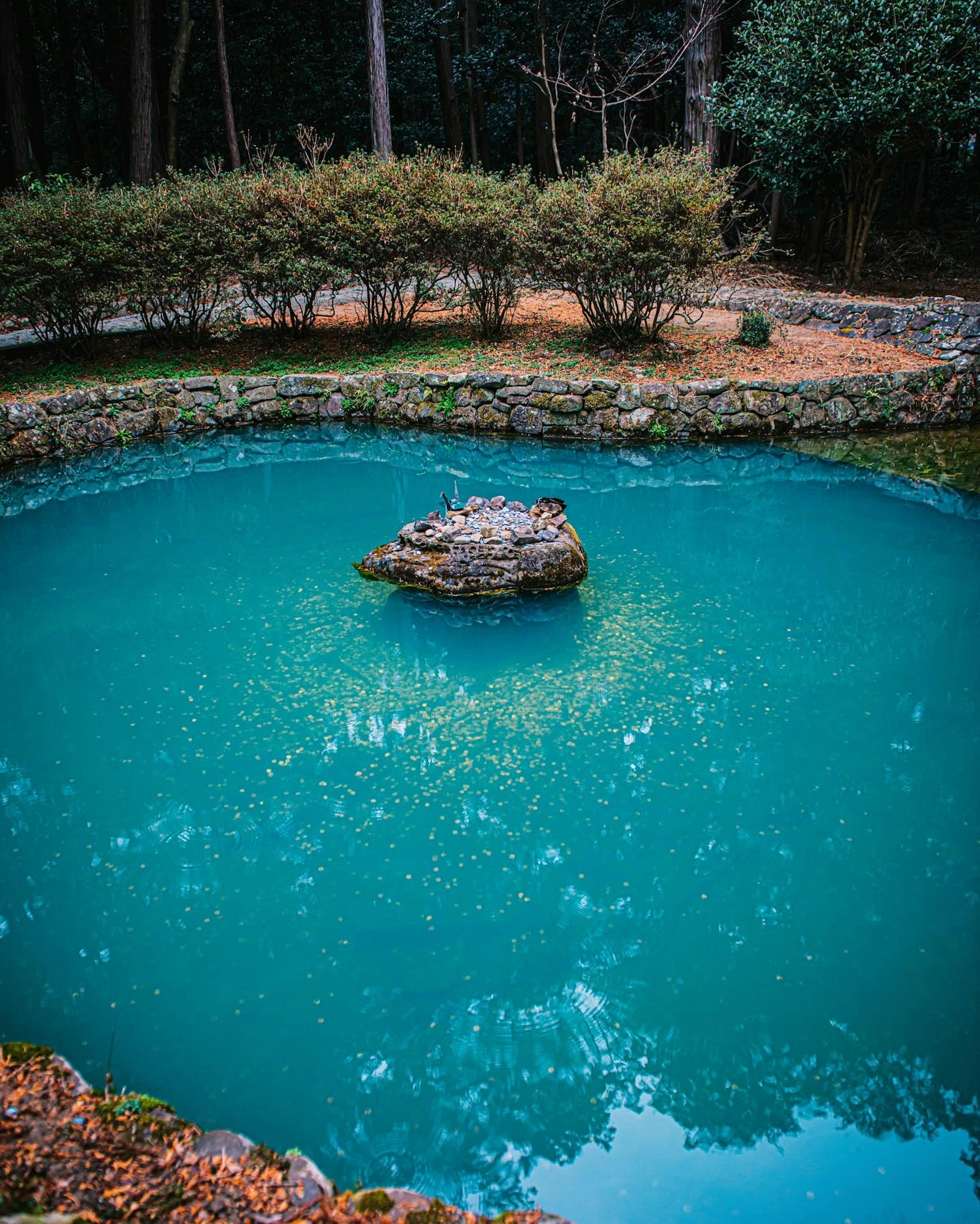 Un étang serein avec de l'eau turquoise et une roche au centre entourée de verdure luxuriante