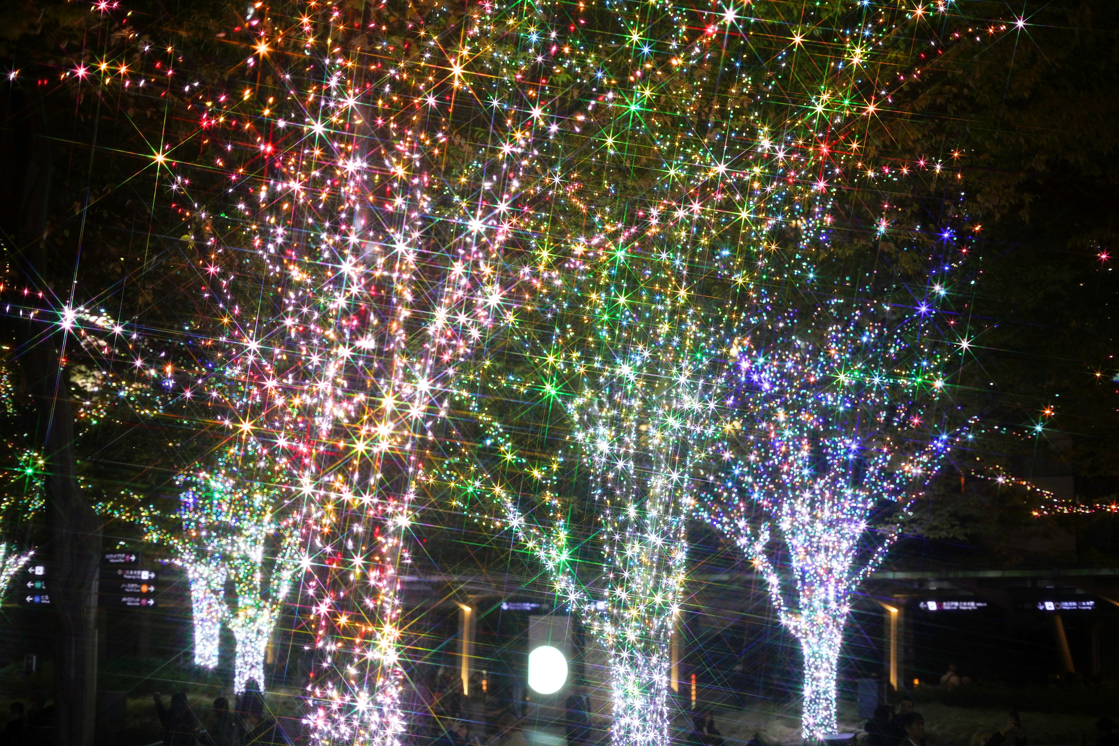 Árboles iluminados coloridos de noche con luces festivas