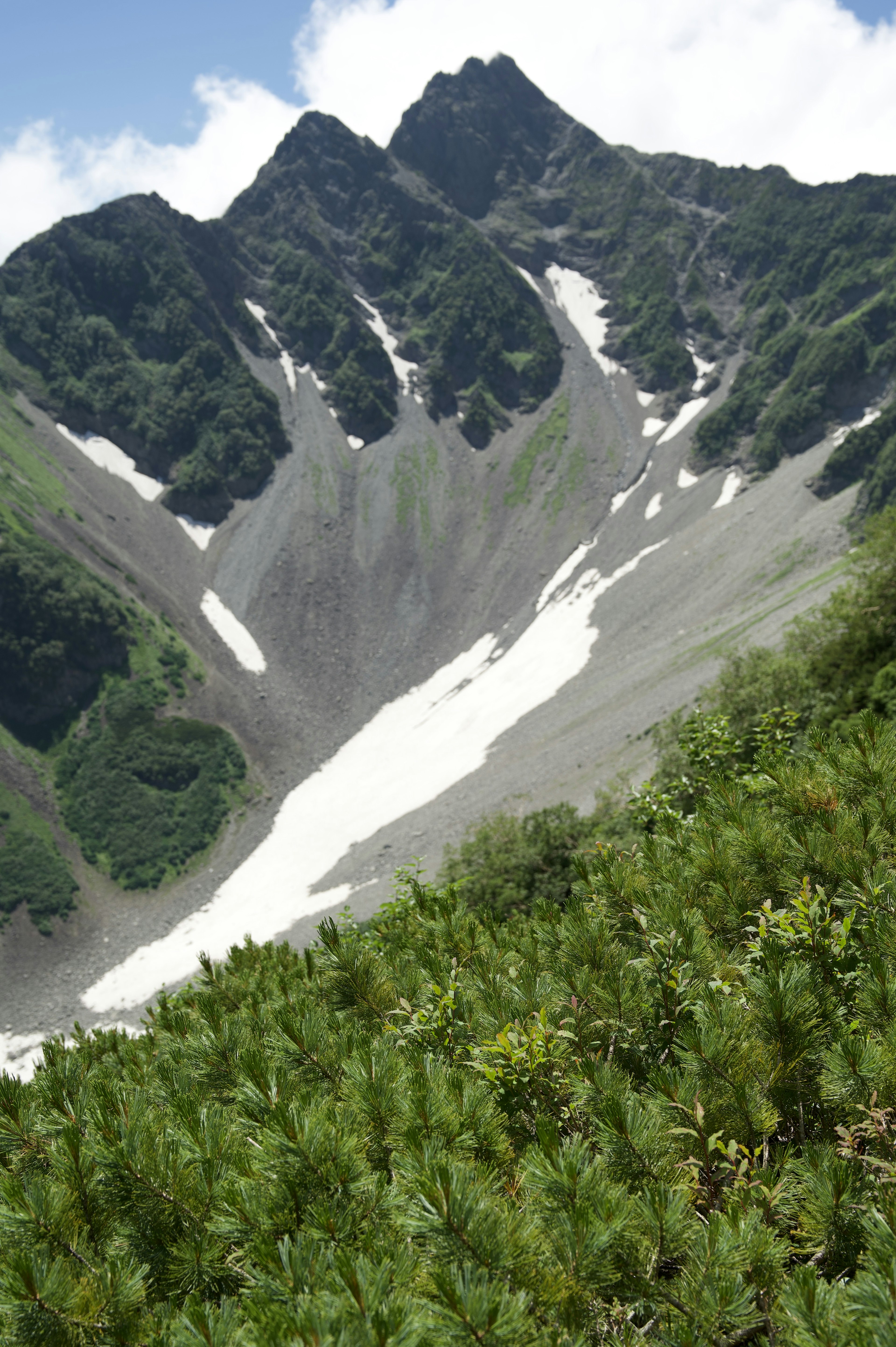 緑豊かな山の斜面と雪が残る急峻な谷