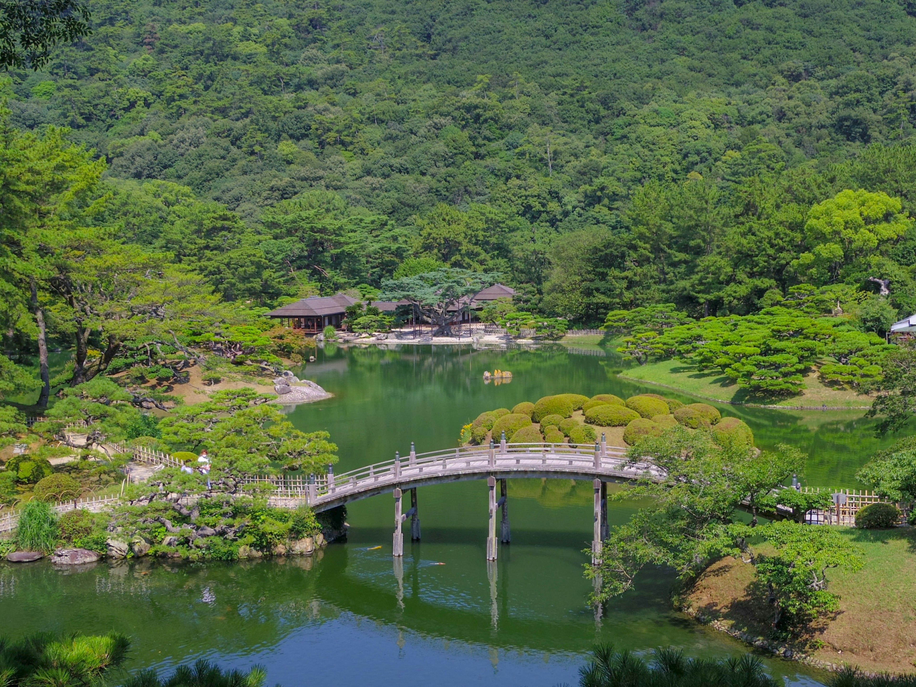 Hermoso puente sobre un estanque tranquilo en un jardín exuberante