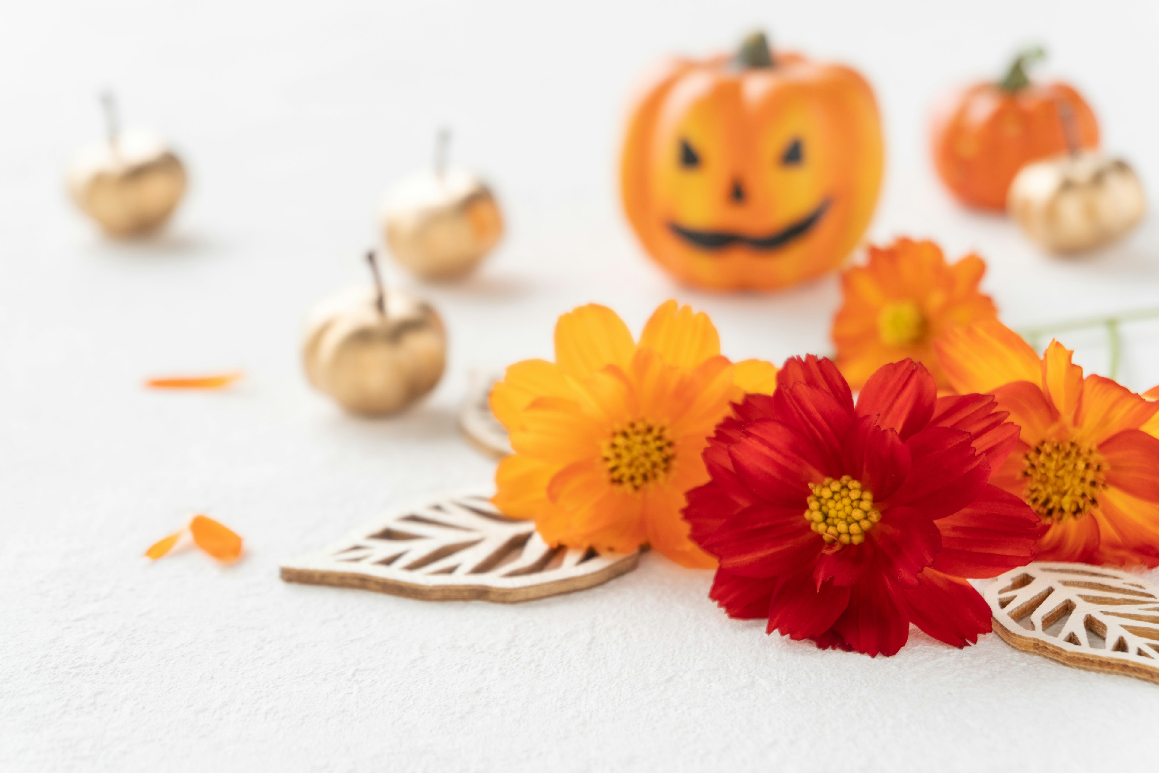 Decorative scene featuring autumn flowers and small pumpkins