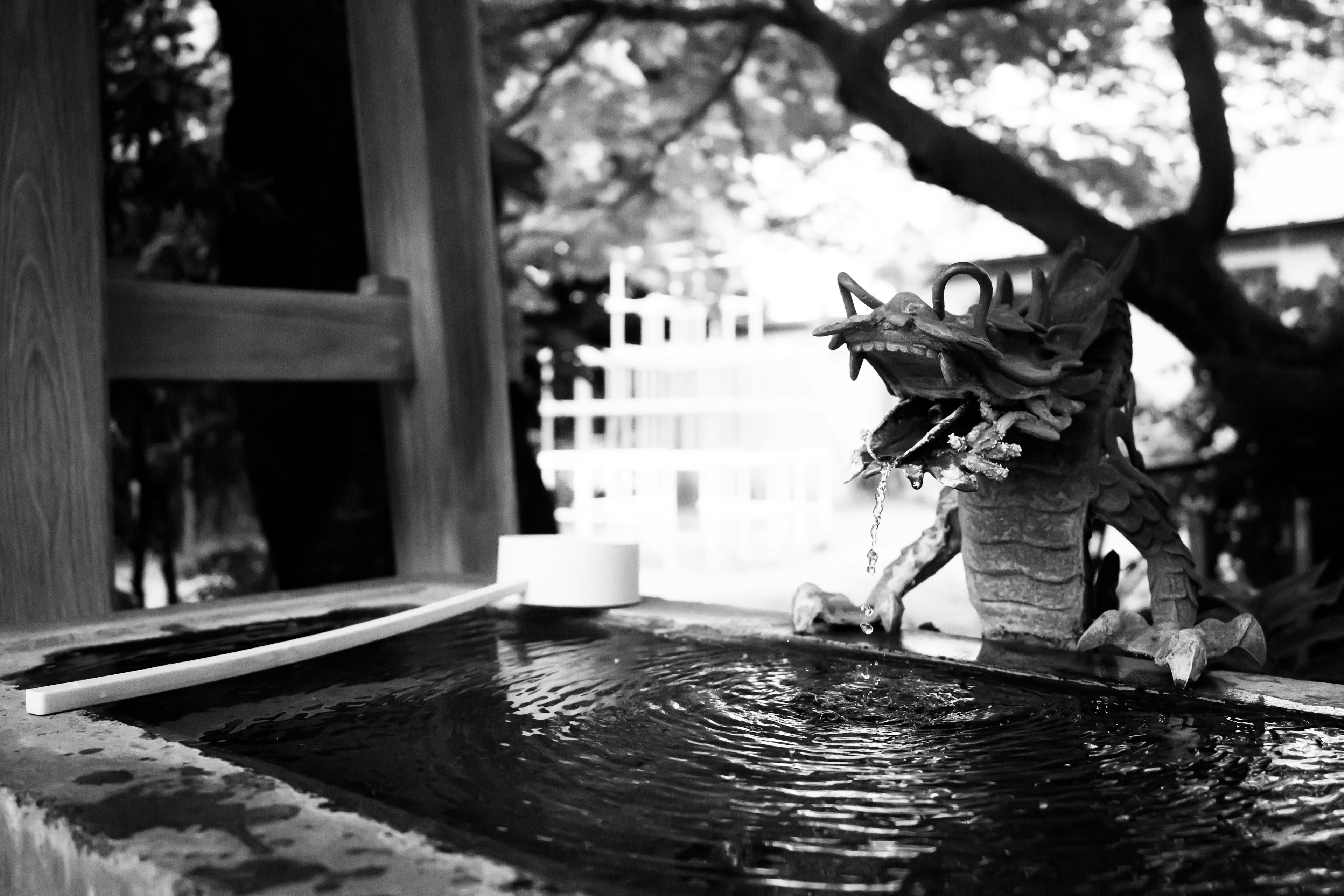 Immagine in bianco e nero con una scultura di drago d'acqua e un lavandino