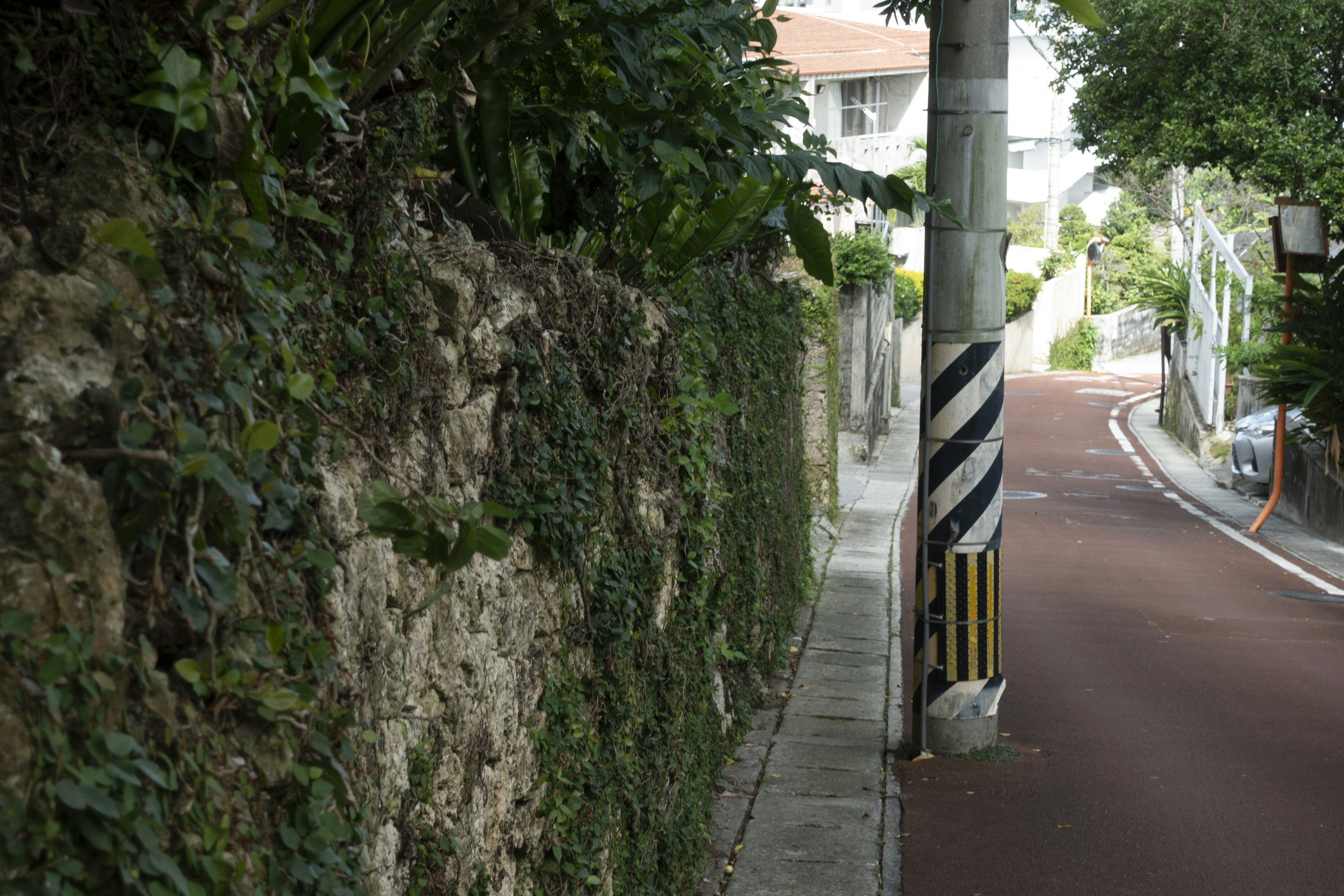 Una vista escénica con un seto frondoso y un camino pavimentado estrecho