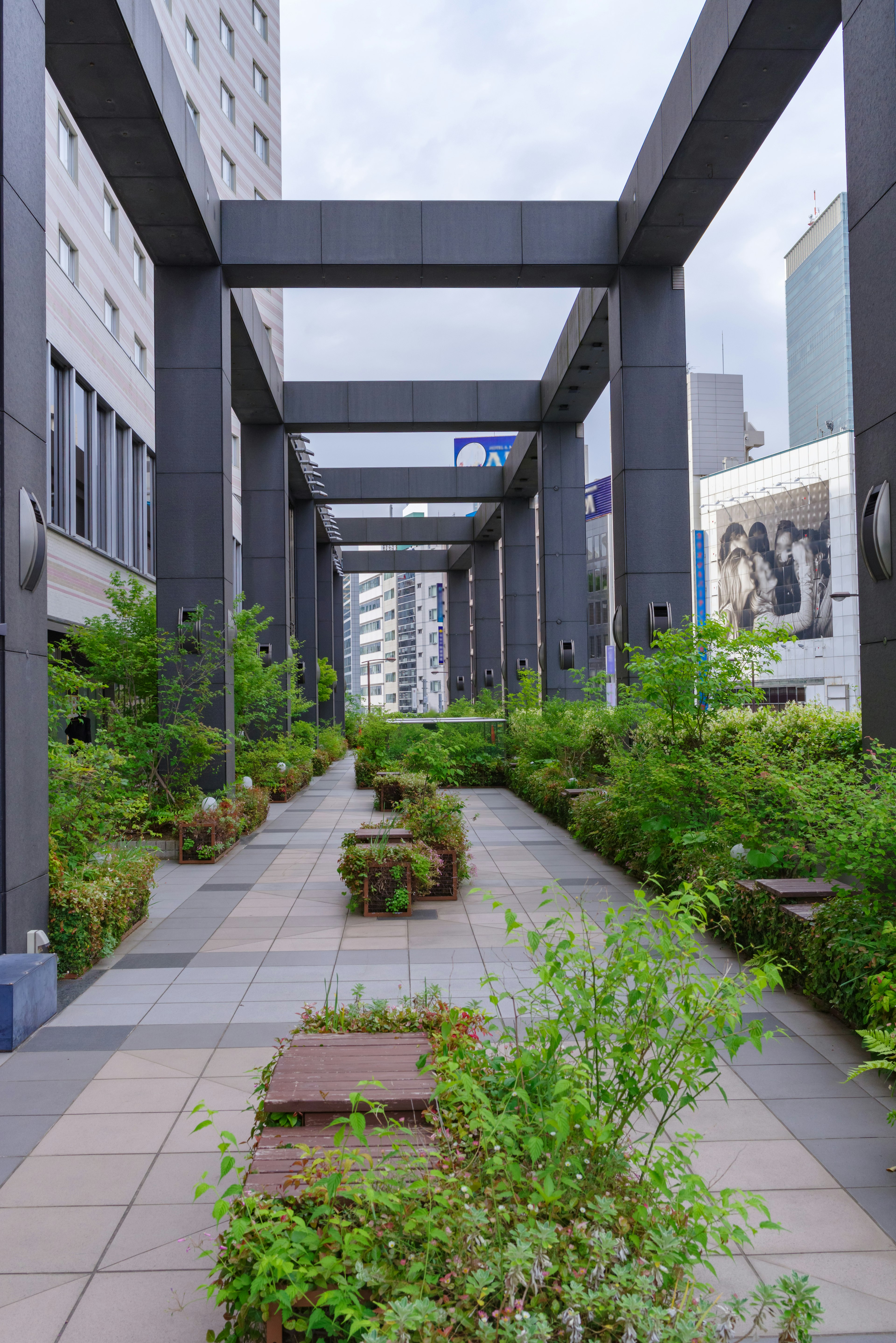 A modern passageway featuring greenery and architectural elements