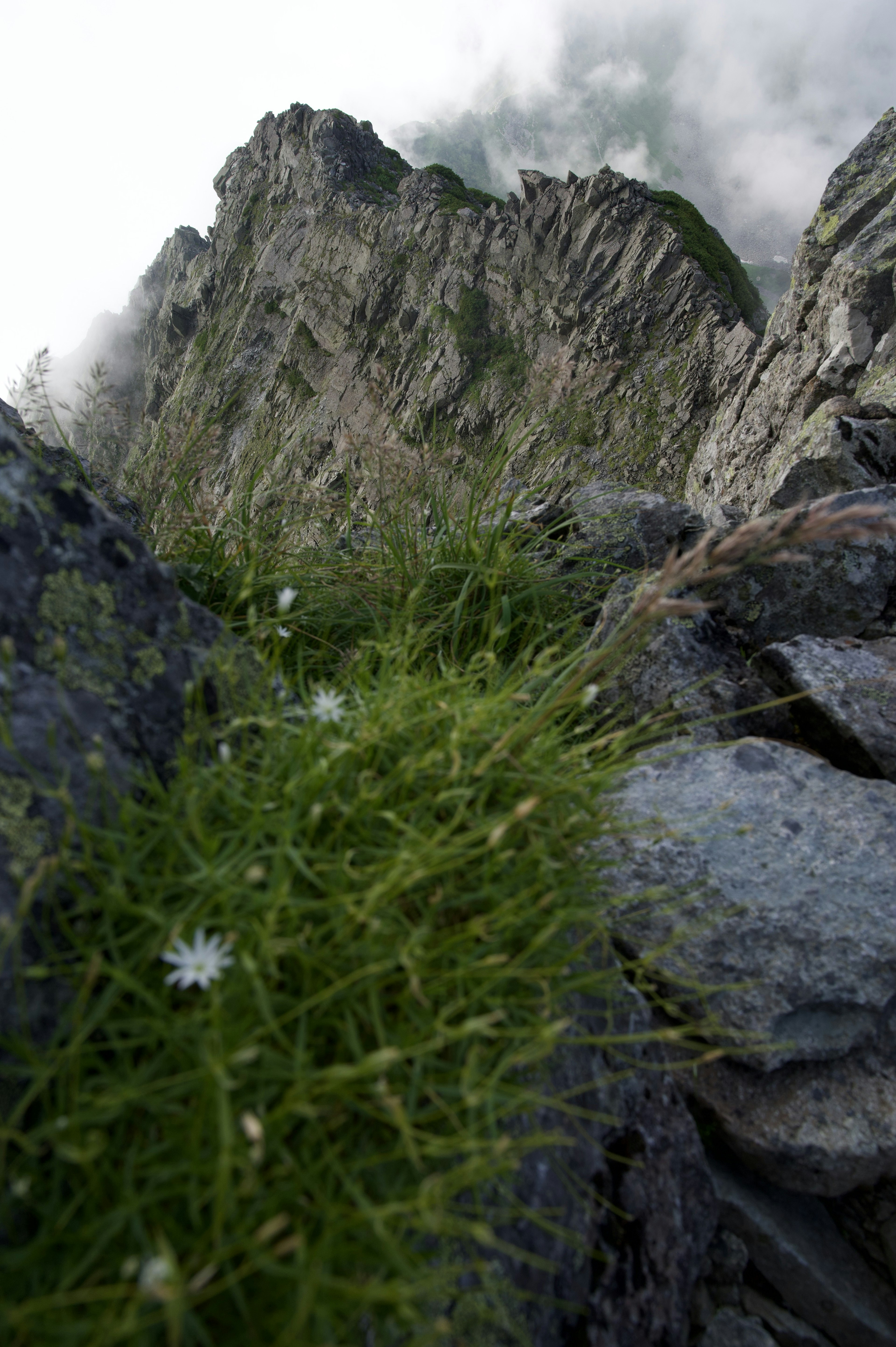 Paisaje montañoso con rocas y hierba bajo picos nublados