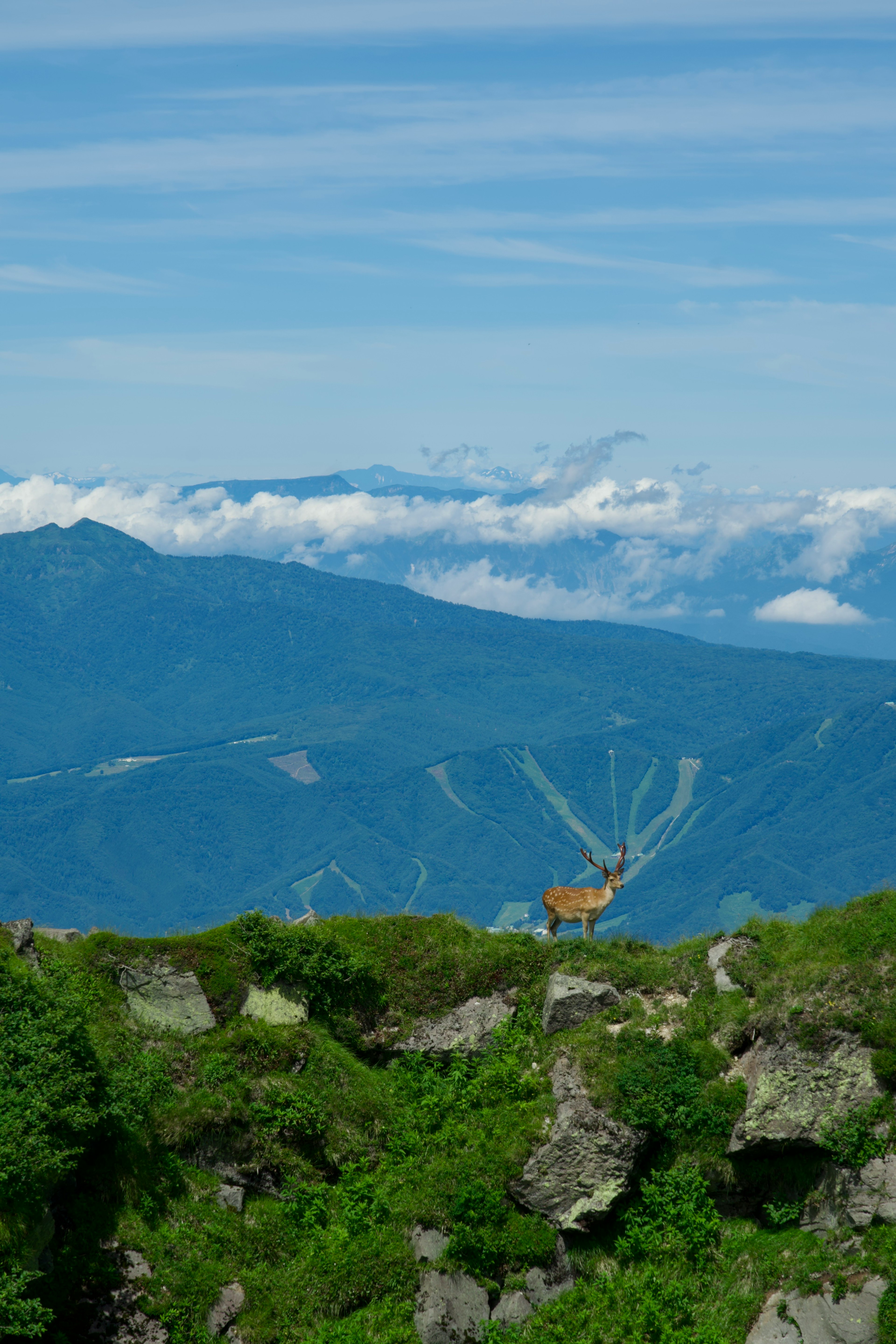 Lush green mountains under a blue sky with a visible cable car station in the distance