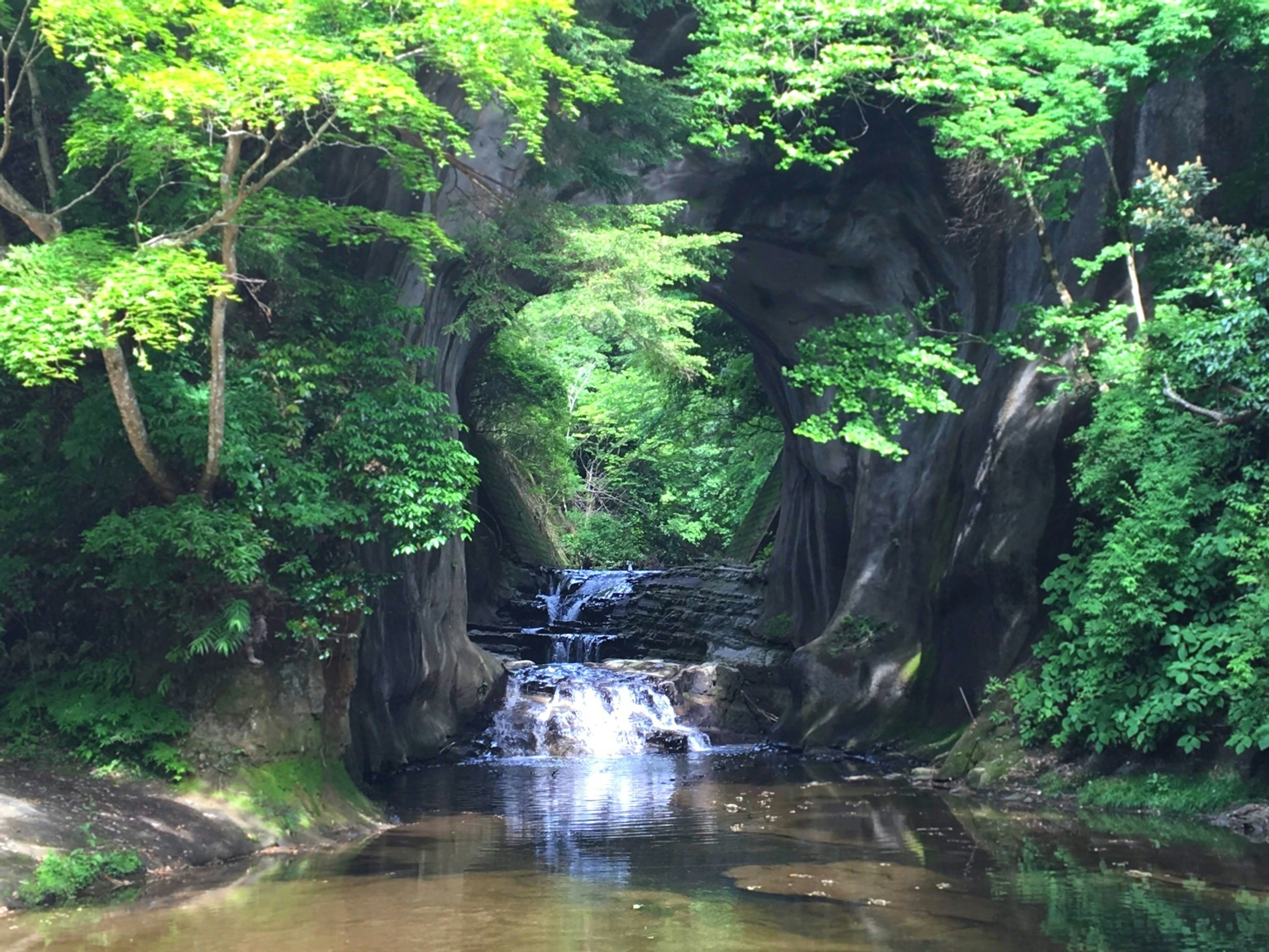 Una hermosa escena de una cascada y agua fluyendo rodeada de un bosque verde exuberante