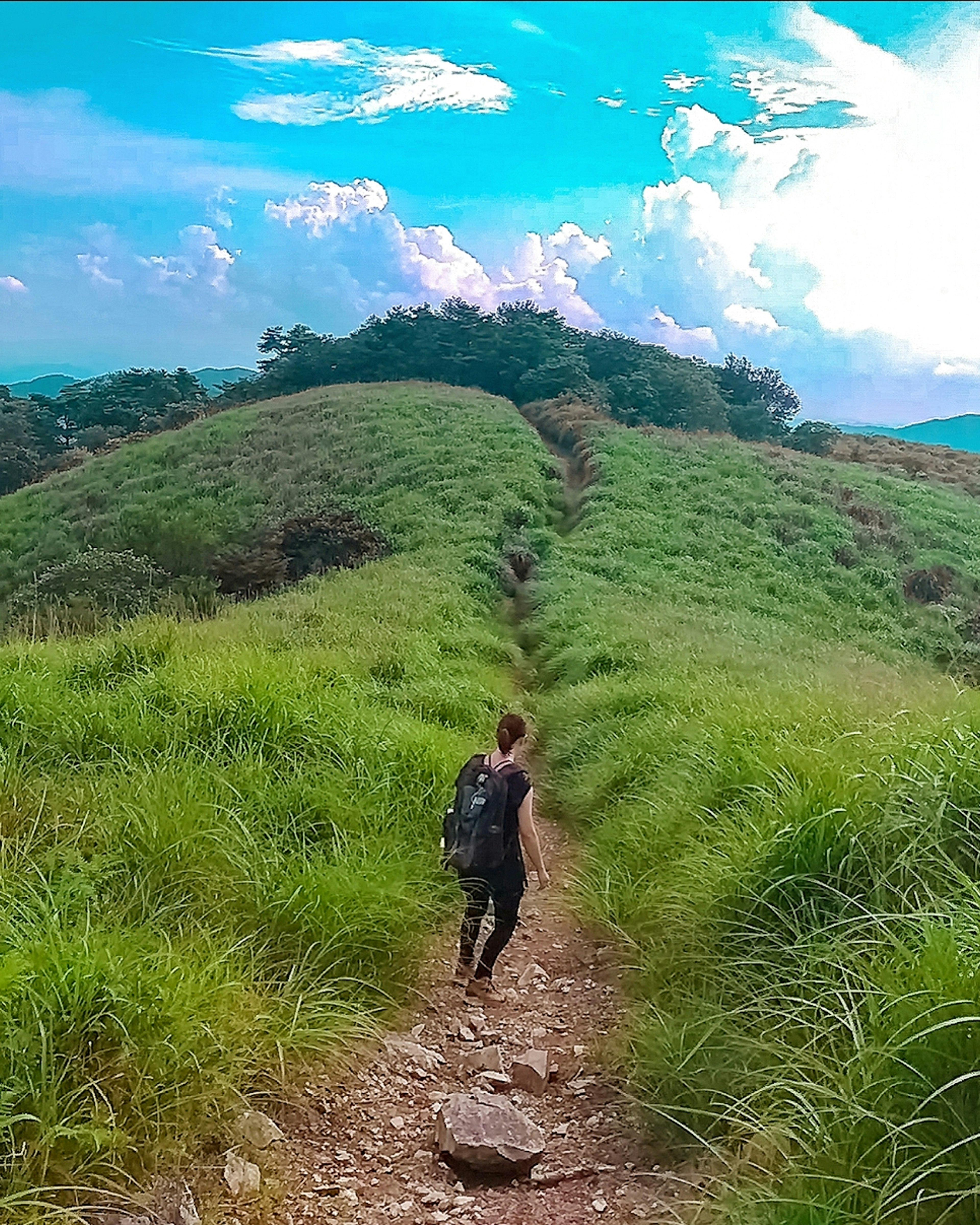 Persona caminando por un sendero de hierba con cielo azul y nubes