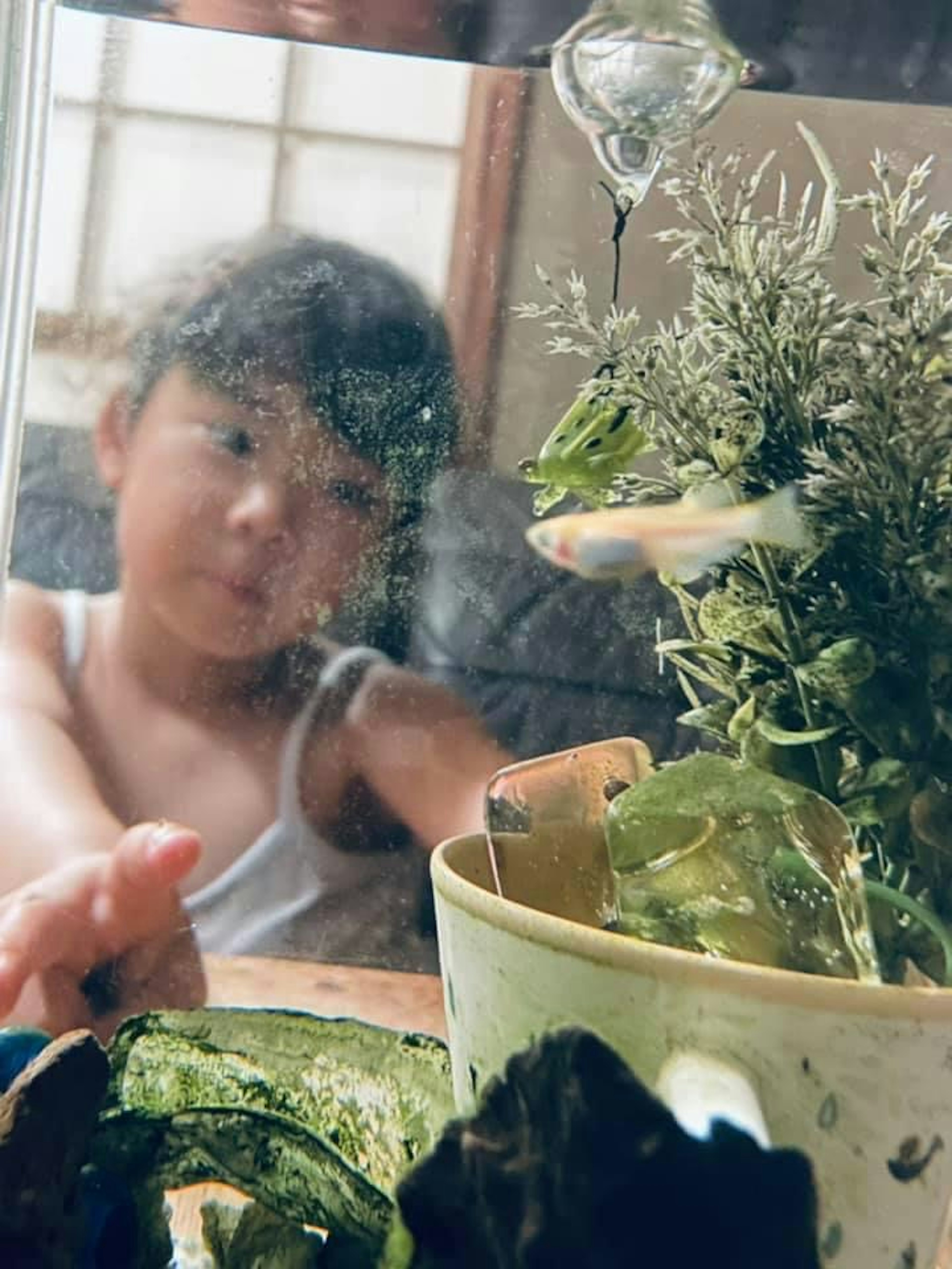 Enfant regardant un poisson dans un aquarium avec des plantes vertes au premier plan