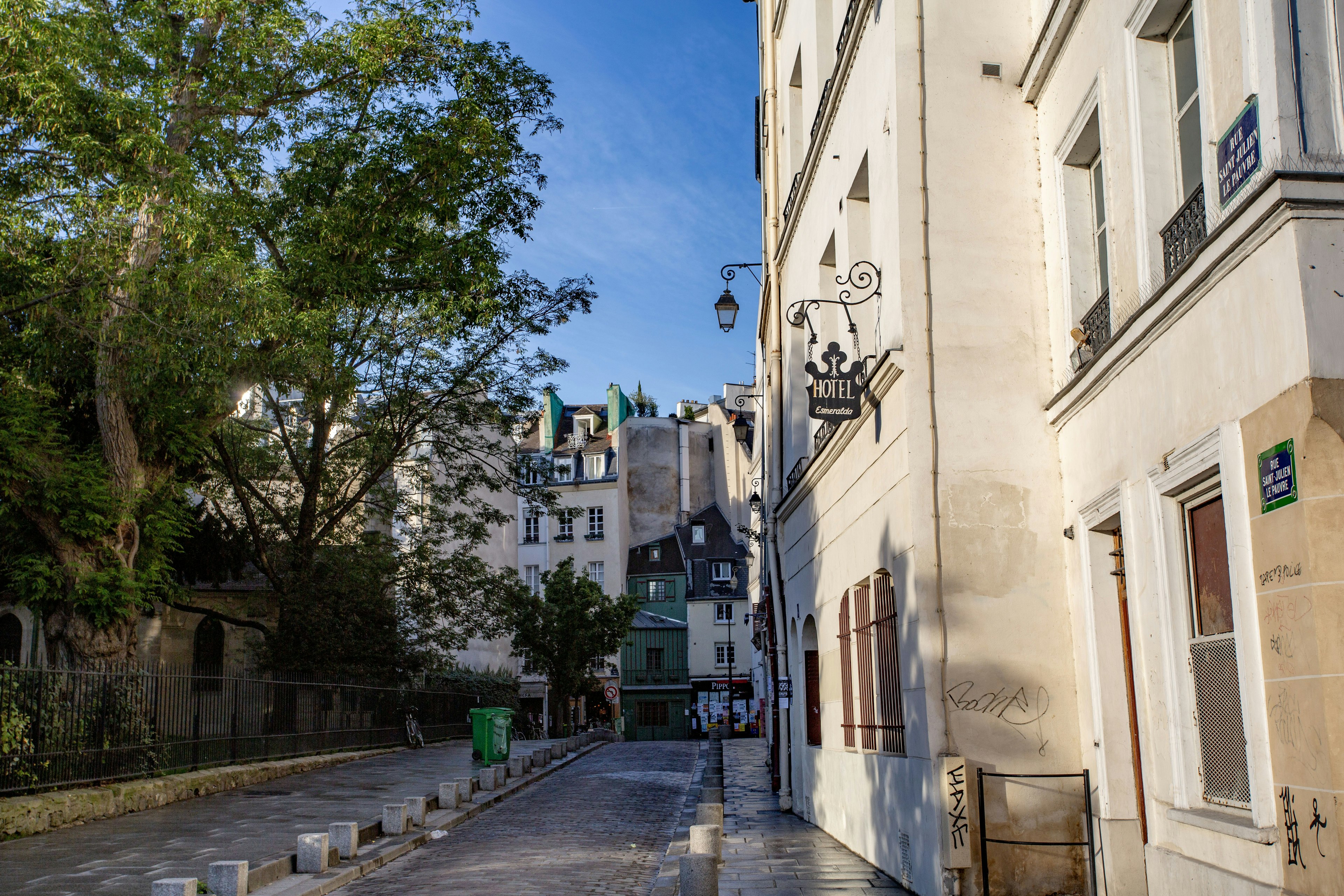 Rue calme à Paris avec des bâtiments blancs et des arbres verts