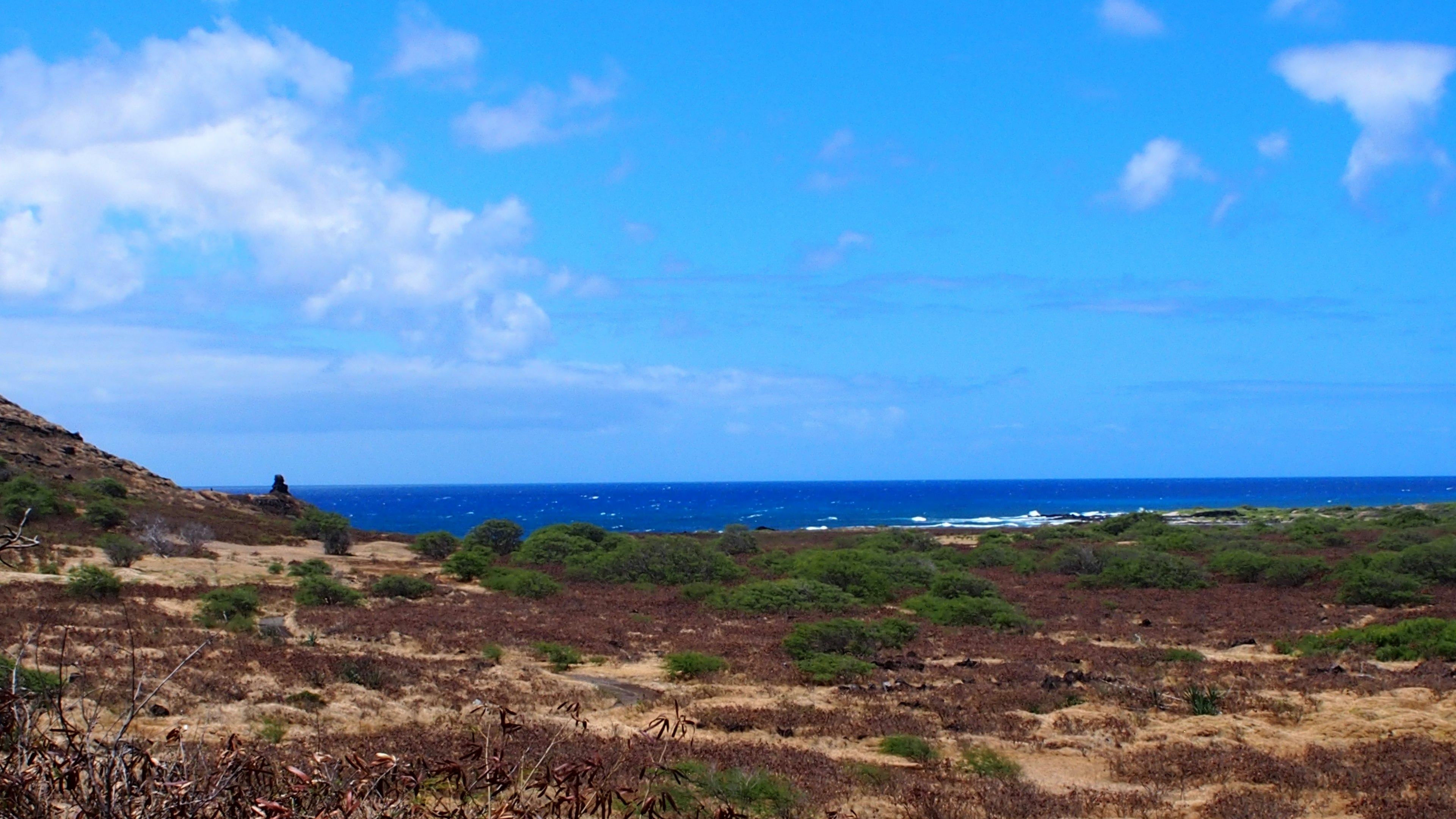 Landschaft mit blauem Meer und hellem Himmel mit Küstenvegetation und sandigen Flächen