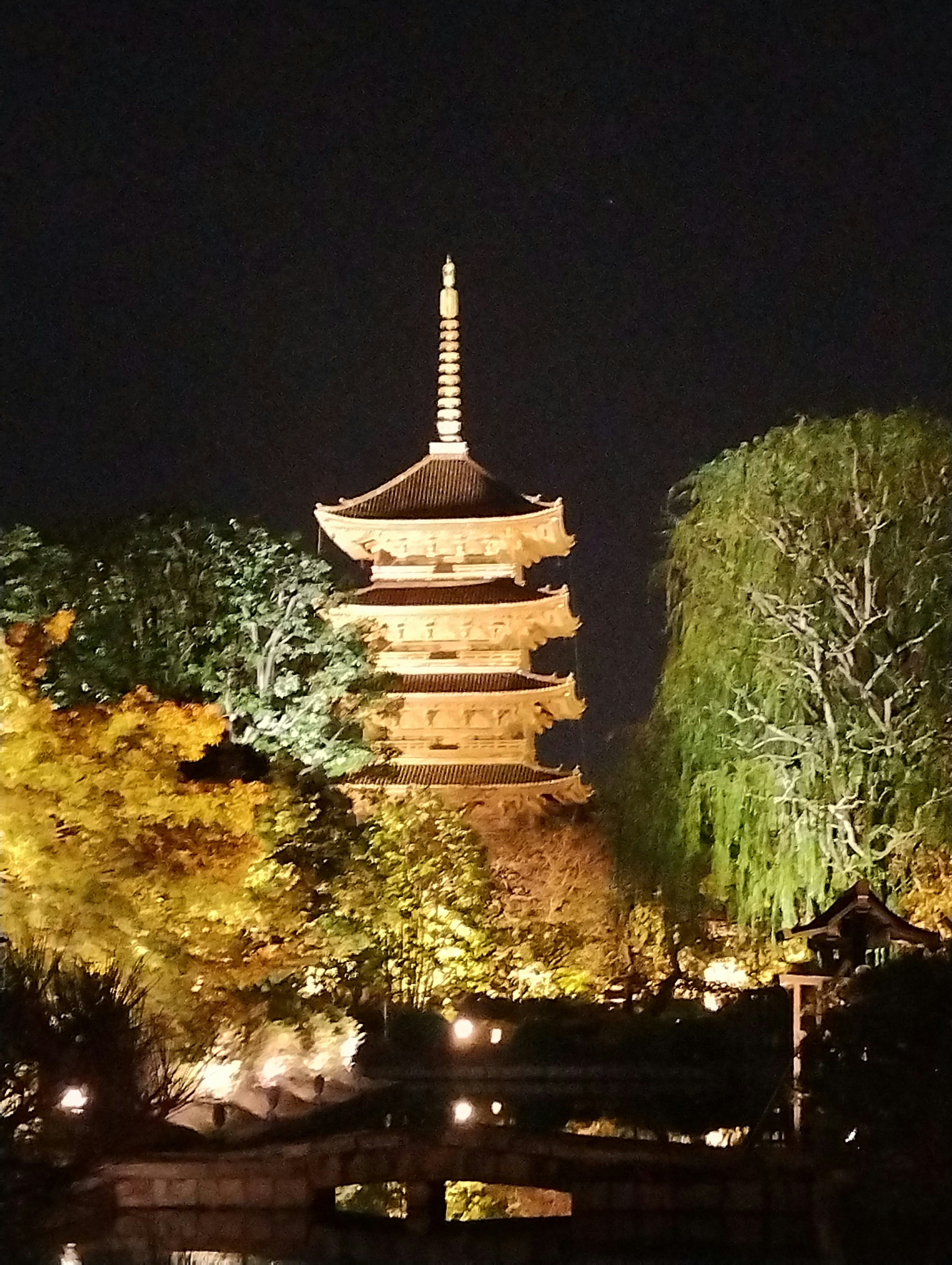 Vista nocturna de una pagoda japonesa rodeada de árboles iluminados