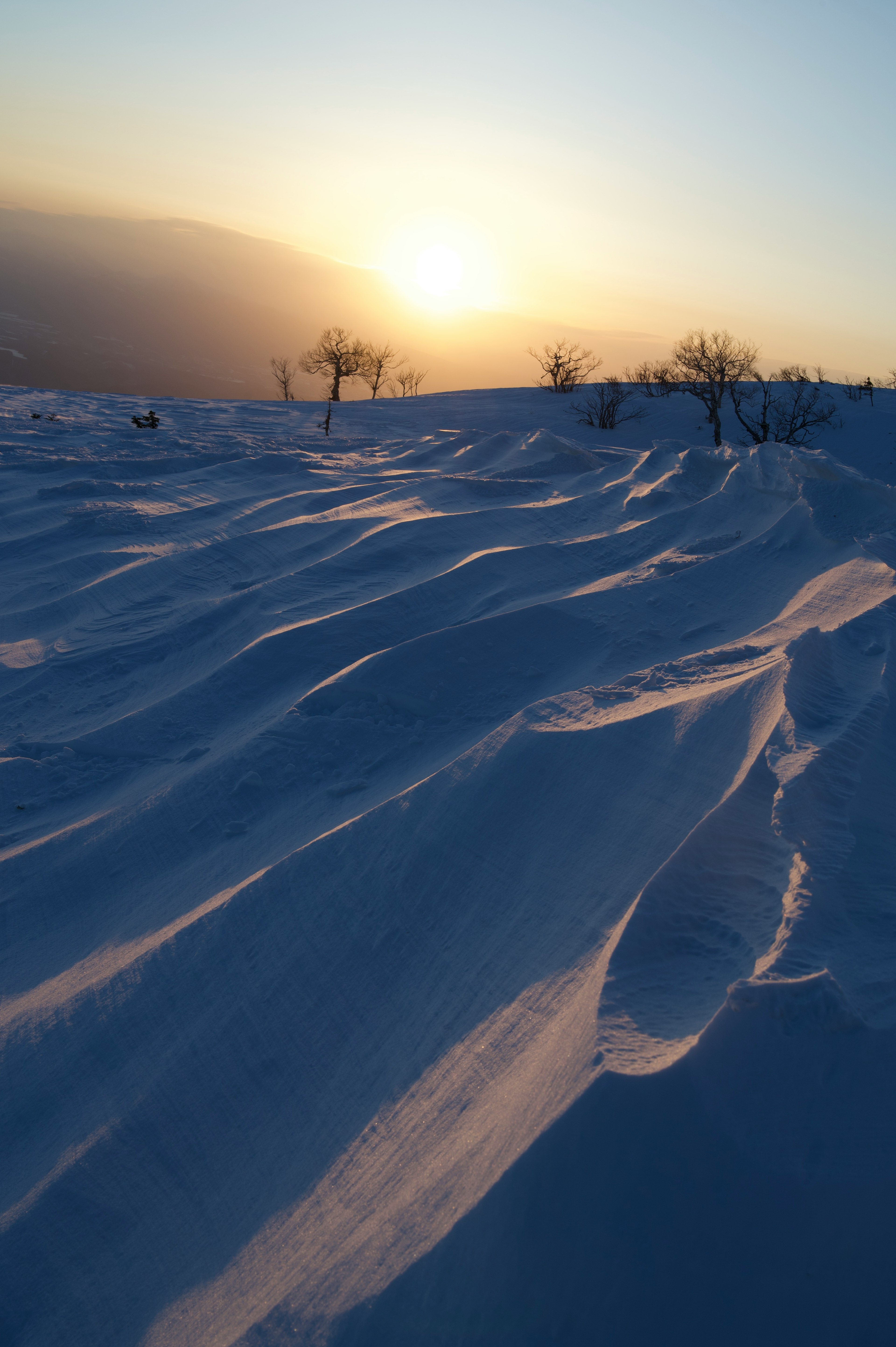 Paysage enneigé avec belle silhouette du coucher de soleil