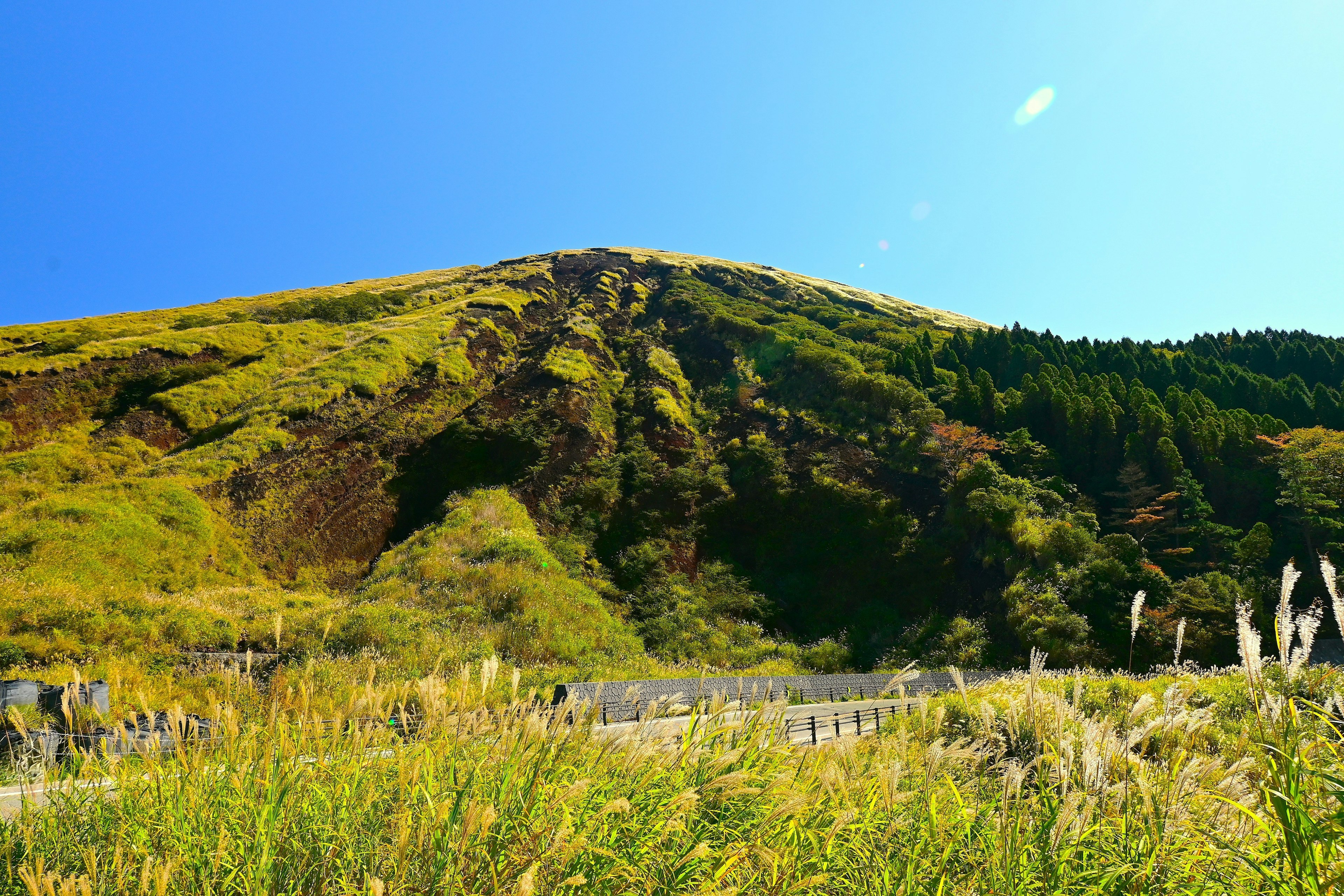 Ladera verde vibrante bajo un cielo azul con un primer plano de hierba