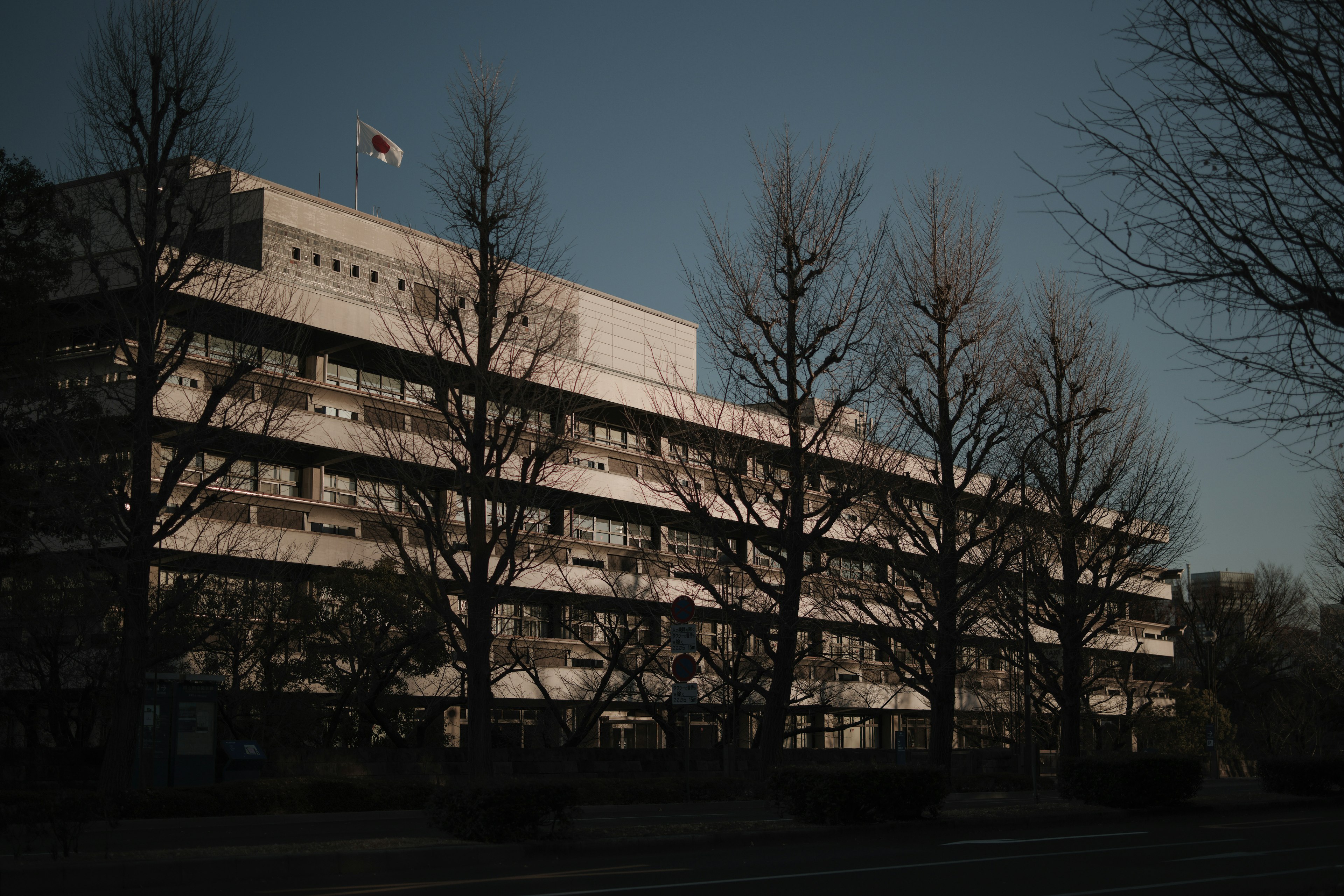 Modern building with South Korean flag surrounded by bare trees