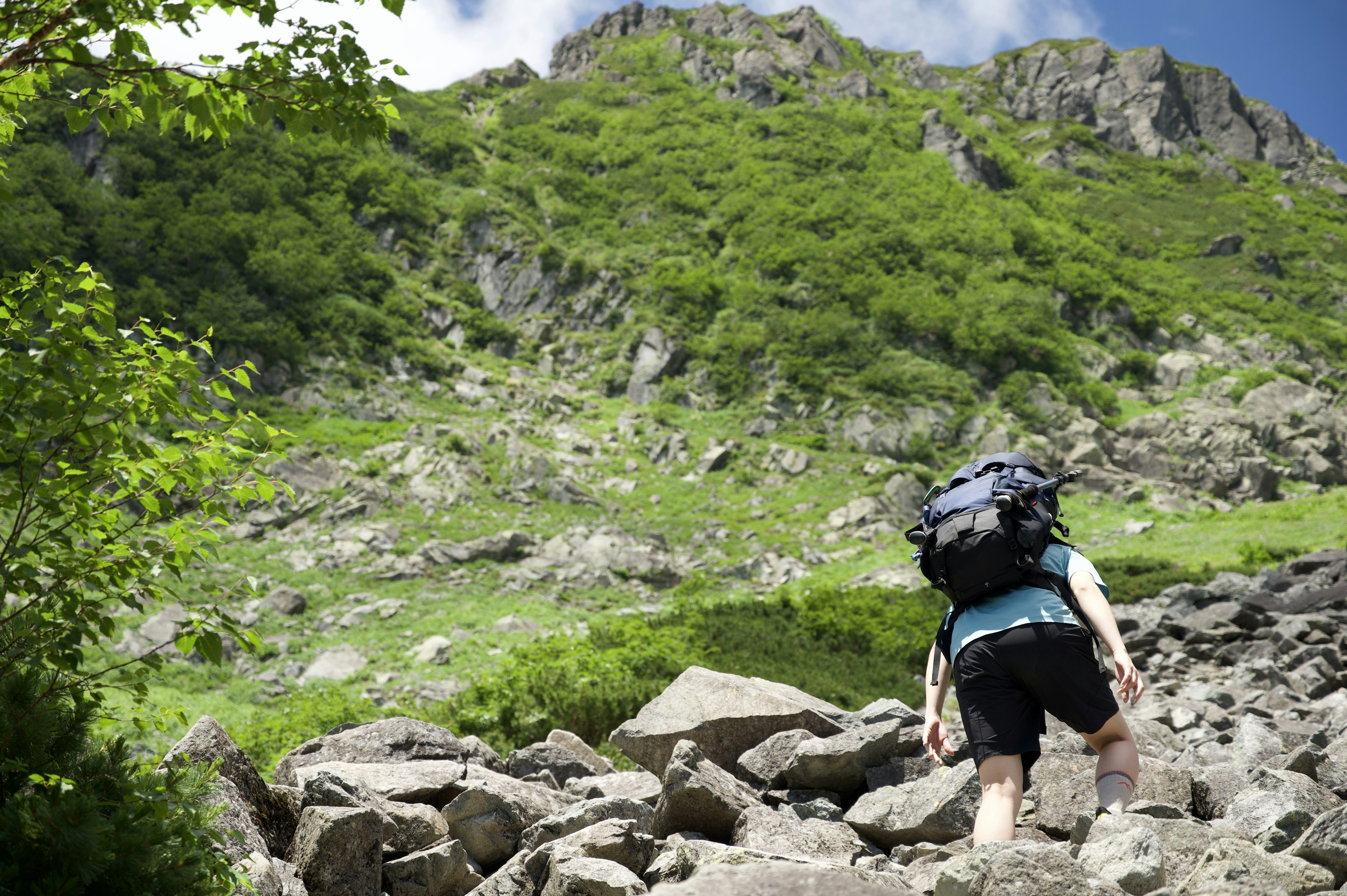 在岩石地形上徒步旅行的人，背景是一座郁郁蔥蔥的山