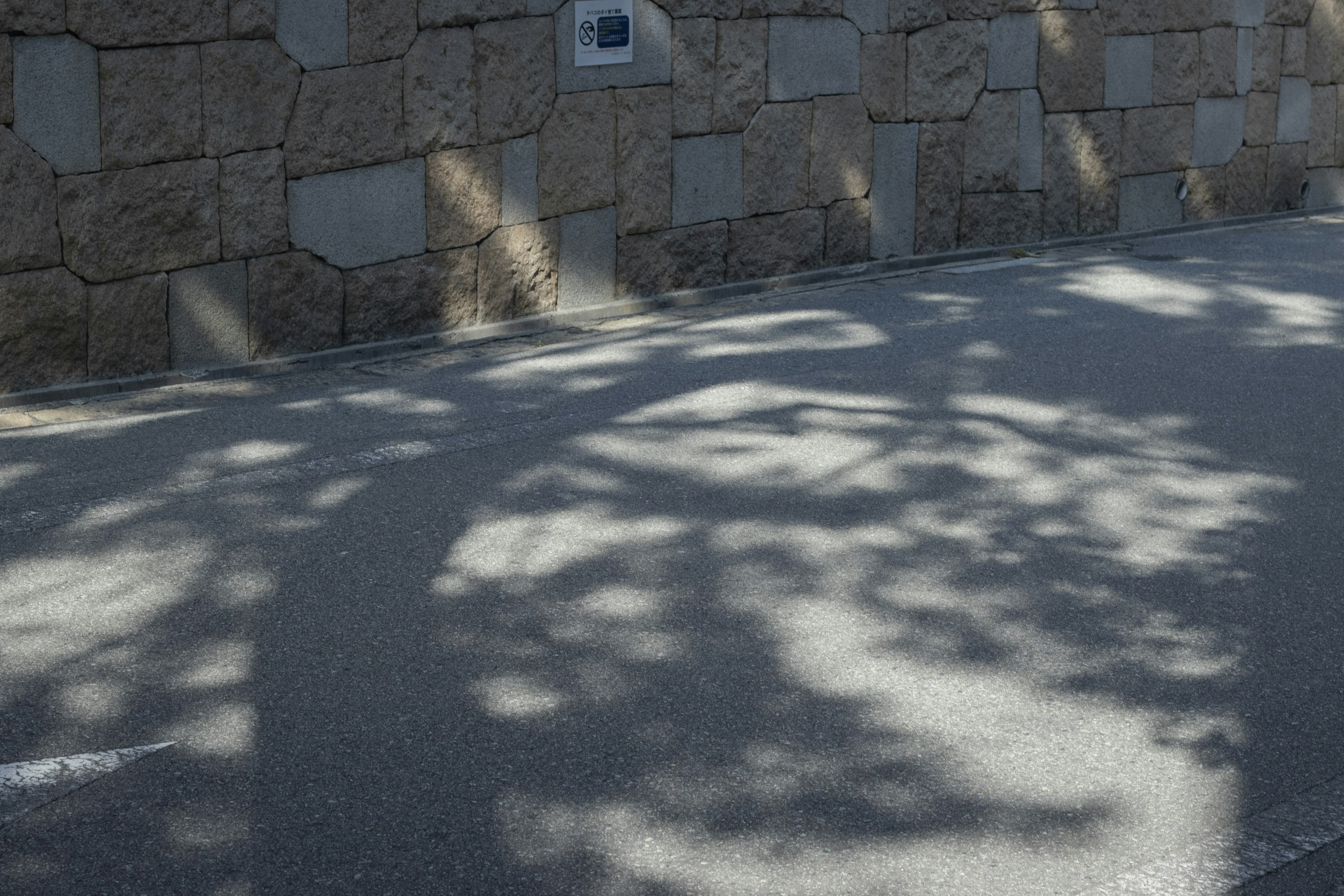 Shadows of trees cast on the ground beside a stone wall